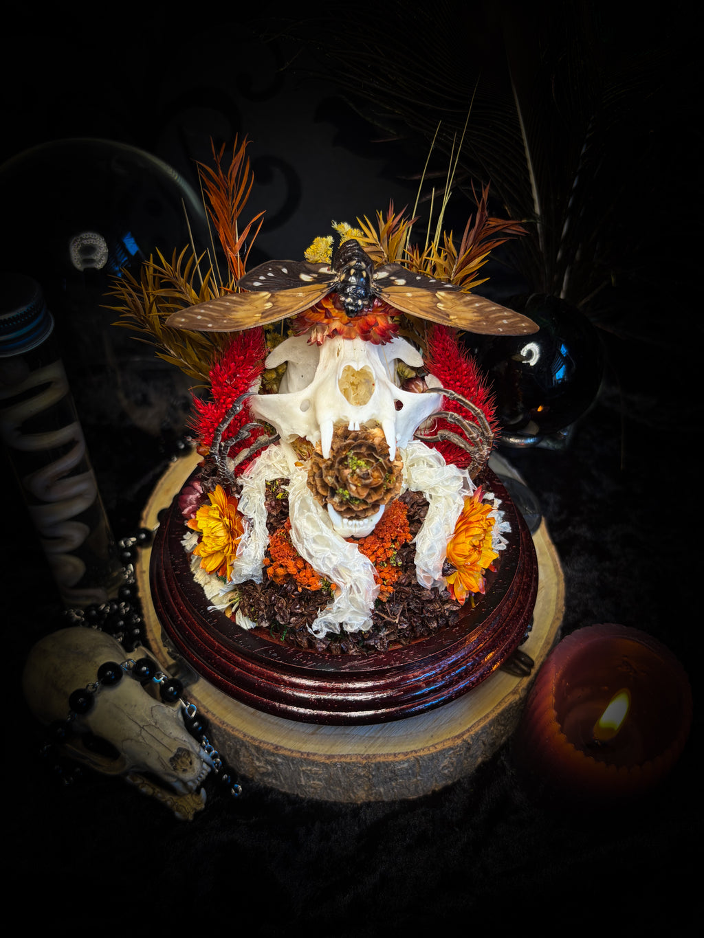 Mors Autumnalis — handmade gothic glass dome with cat skull, Ambragaeana ambra cicada, mummified bird feet, snake skin and dried autumn botanicals — Morbid Oddities