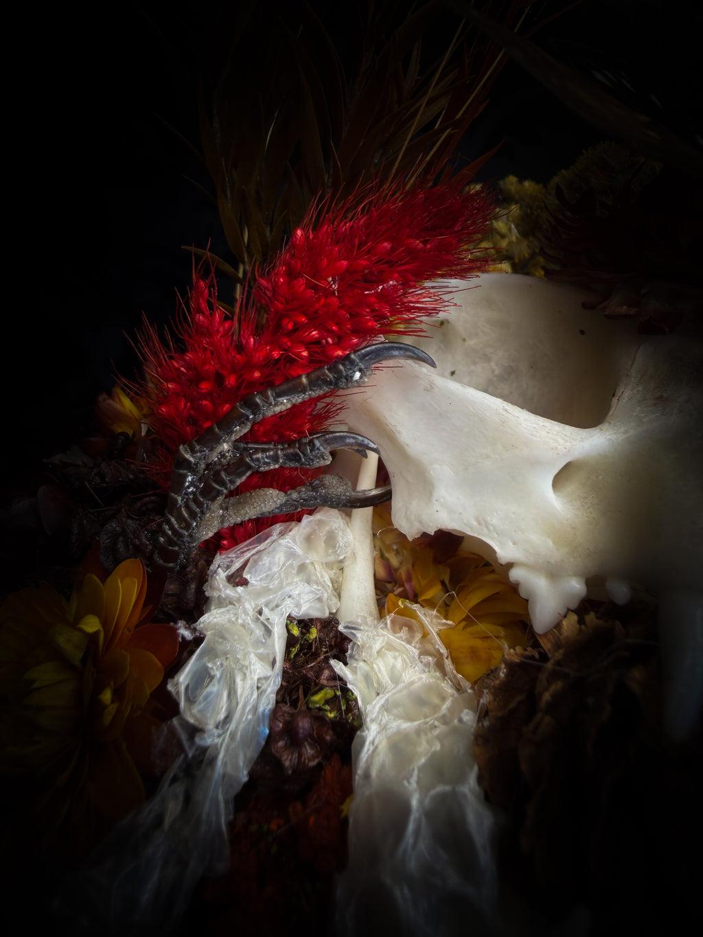 Mors Autumnalis — handmade gothic glass dome with cat skull, Ambragaeana ambra cicada, mummified bird feet, snake skin and dried autumn botanicals — Morbid Oddities