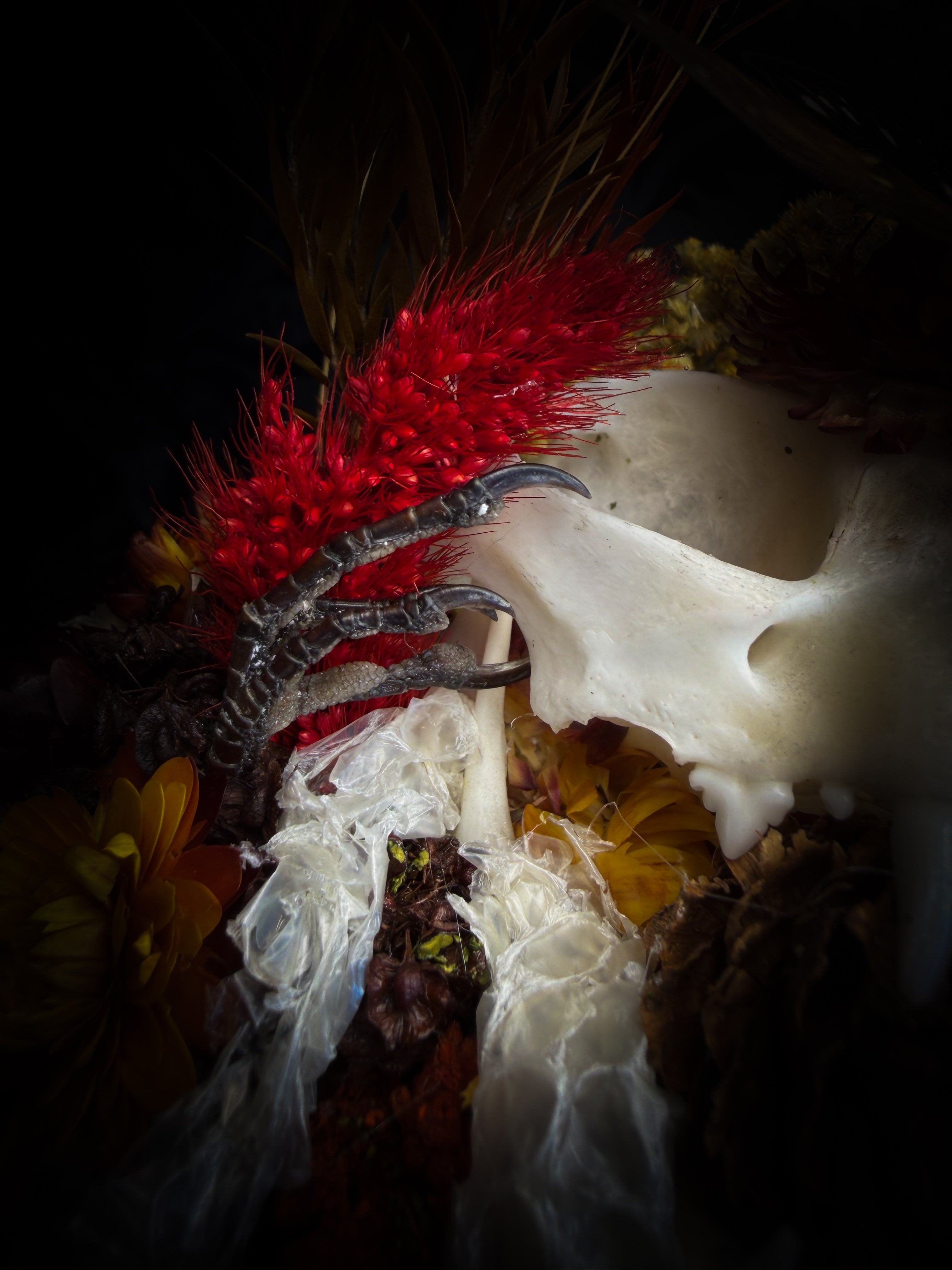 Mors Autumnalis — handmade gothic glass dome with cat skull, Ambragaeana ambra cicada, mummified bird feet, snake skin and dried autumn botanicals — Morbid Oddities