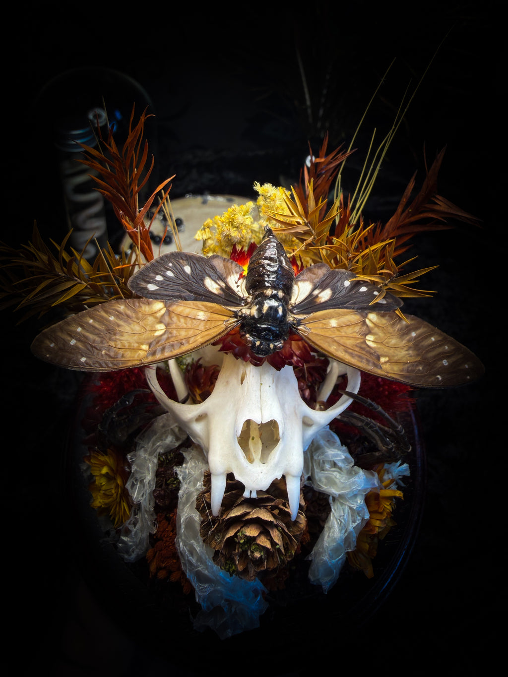 Mors Autumnalis — handmade gothic glass dome with cat skull, Ambragaeana ambra cicada, mummified bird feet, snake skin and dried autumn botanicals — Morbid Oddities