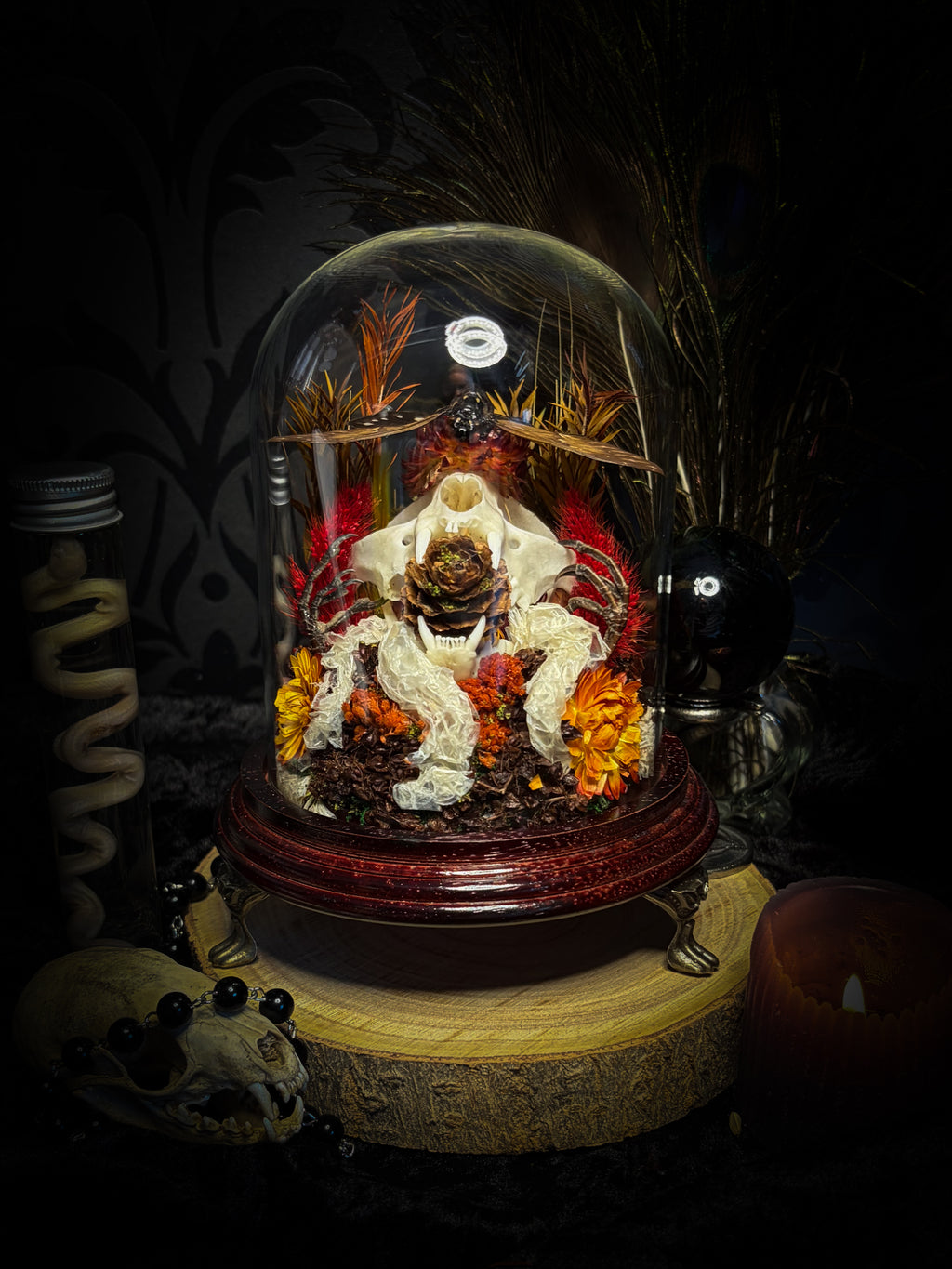 Mors Autumnalis — handmade gothic glass dome with cat skull, Ambragaeana ambra cicada, mummified bird feet, snake skin and dried autumn botanicals — Morbid Oddities