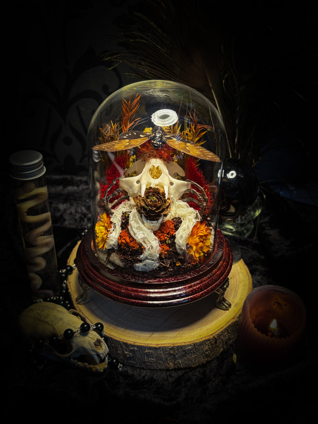 Mors Autumnalis — handmade gothic glass dome with cat skull, Ambragaeana ambra cicada, mummified bird feet, snake skin and dried autumn botanicals — Morbid Oddities