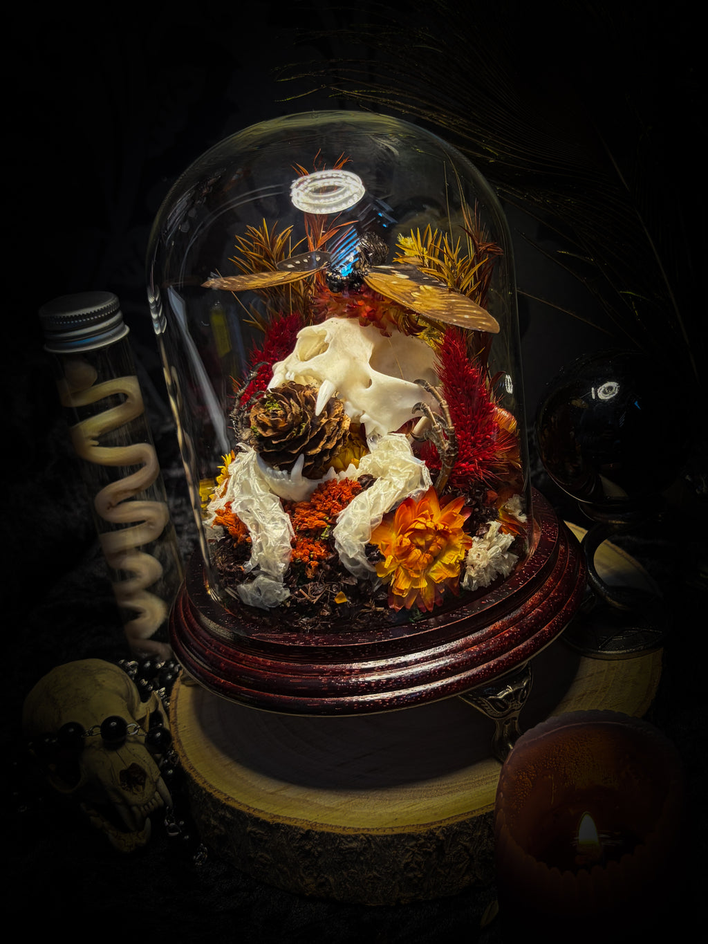 Mors Autumnalis — handmade gothic glass dome with cat skull, Ambragaeana ambra cicada, mummified bird feet, snake skin and dried autumn botanicals — Morbid Oddities