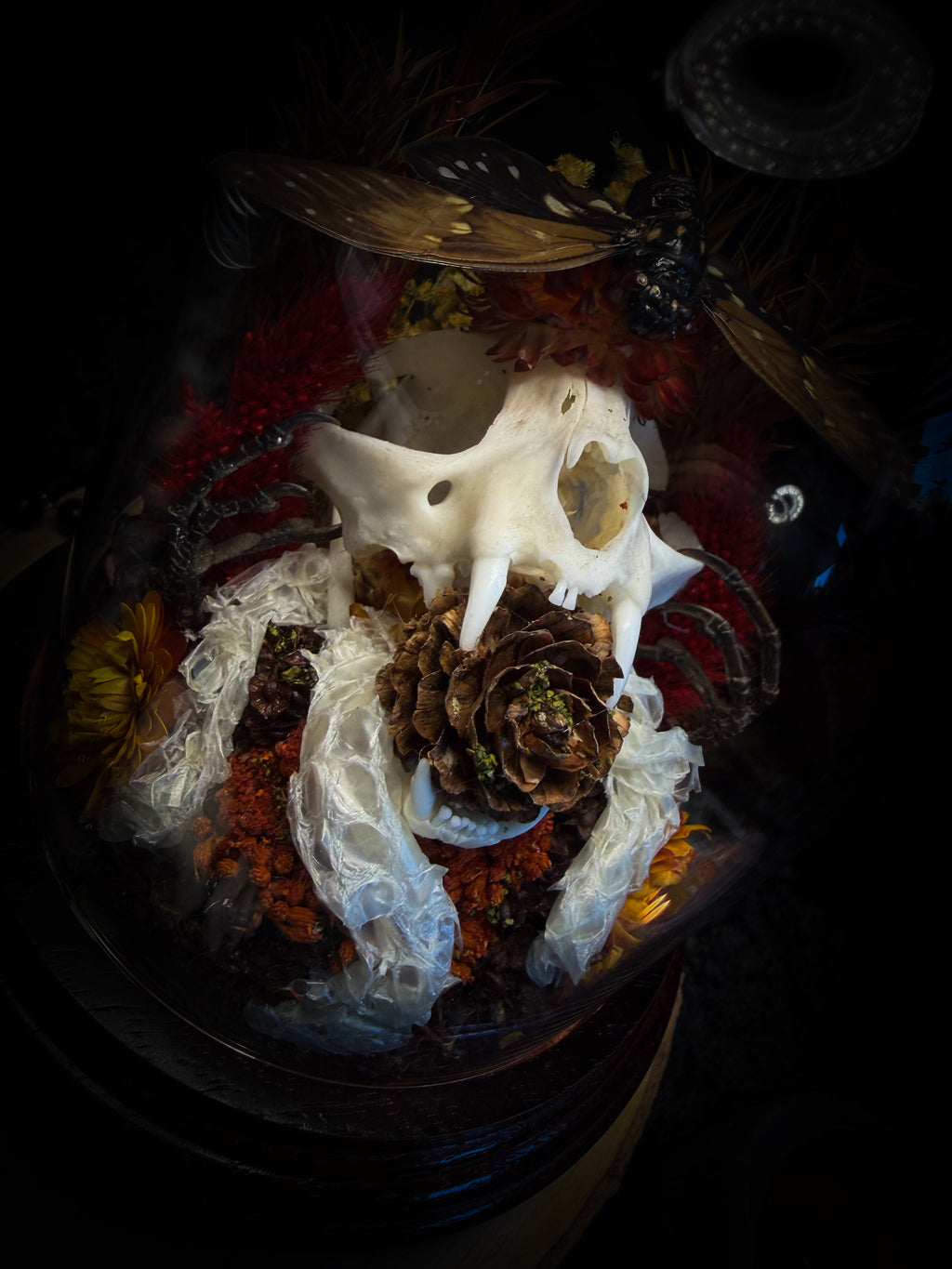 Mors Autumnalis — handmade gothic glass dome with cat skull, Ambragaeana ambra cicada, mummified bird feet, snake skin and dried autumn botanicals — Morbid Oddities