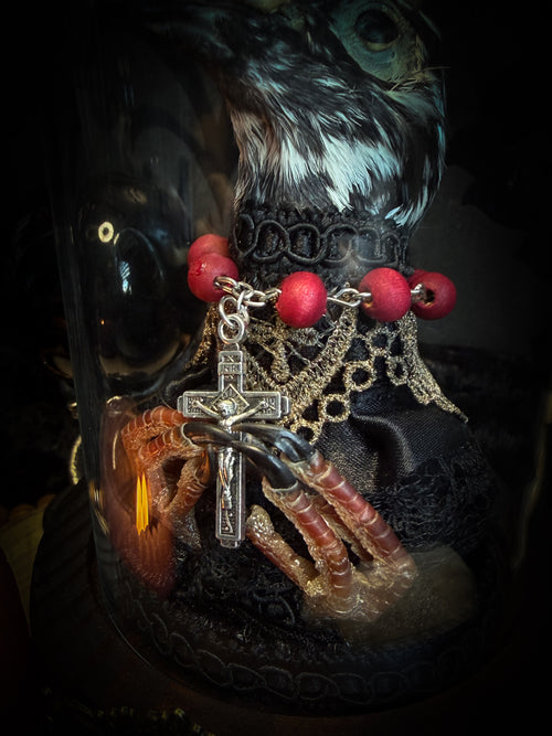Handmade gothic glass dome with mummified pigeon head and feet, gold lace, rose rosary and ornate base — Ave Maria by Morbid Oddities
