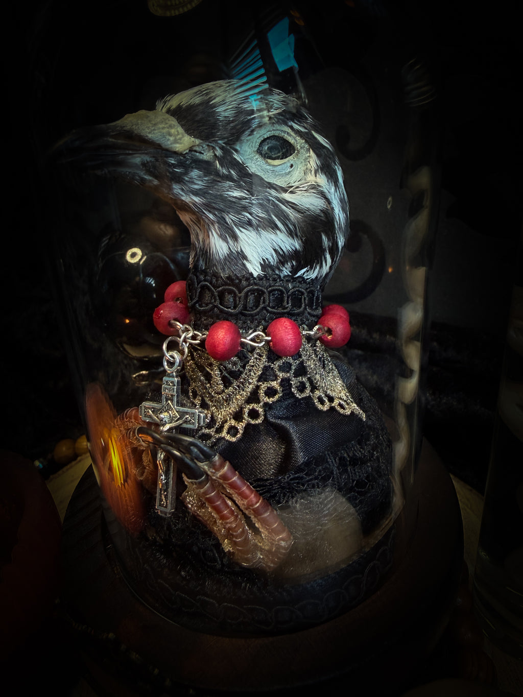 Handmade gothic glass dome with mummified pigeon head and feet, gold lace, rose rosary and ornate base — Ave Maria by Morbid Oddities
