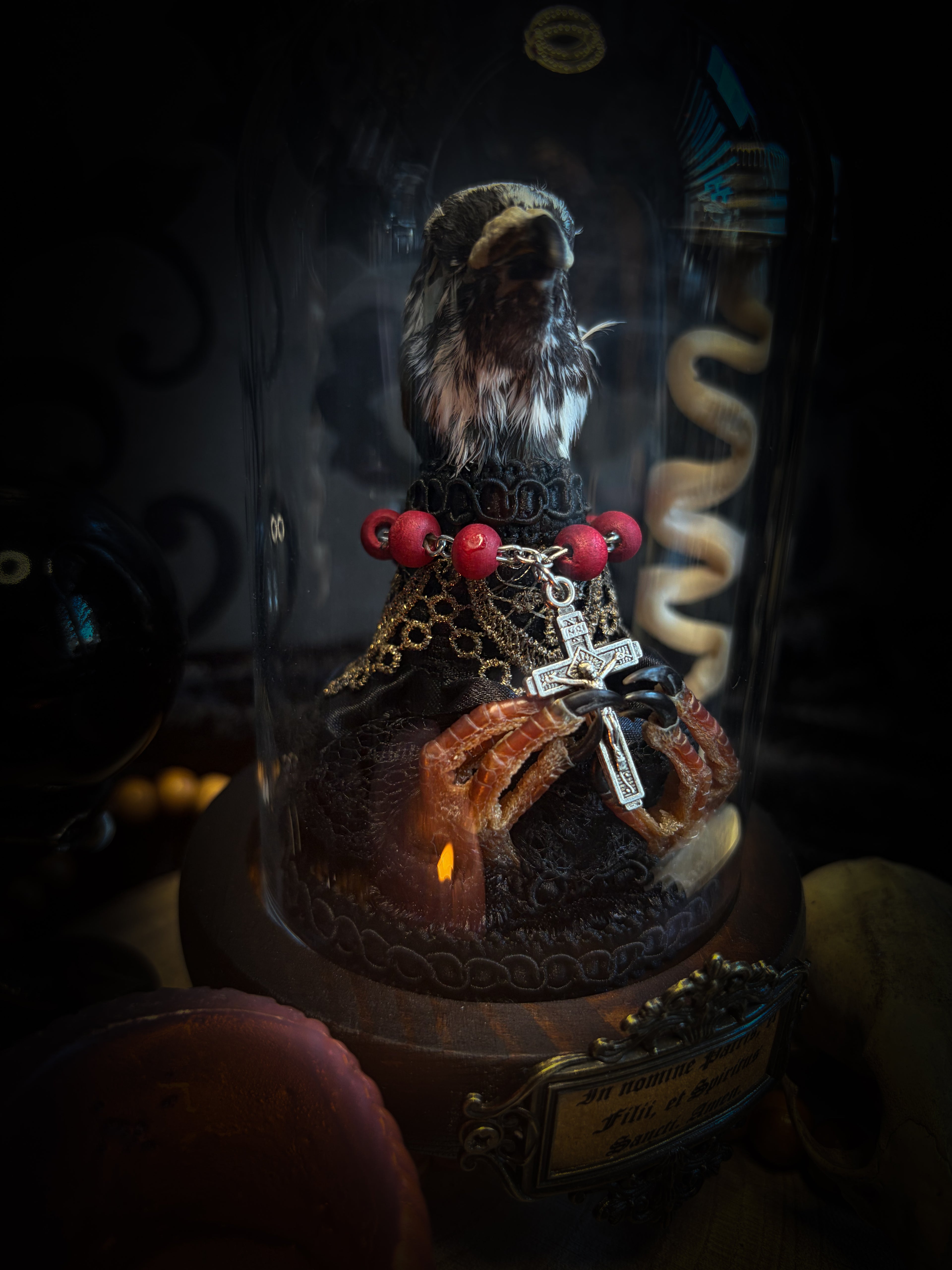 Handmade gothic glass dome with mummified pigeon head and feet, gold lace, rose rosary and ornate base — Ave Maria by Morbid Oddities