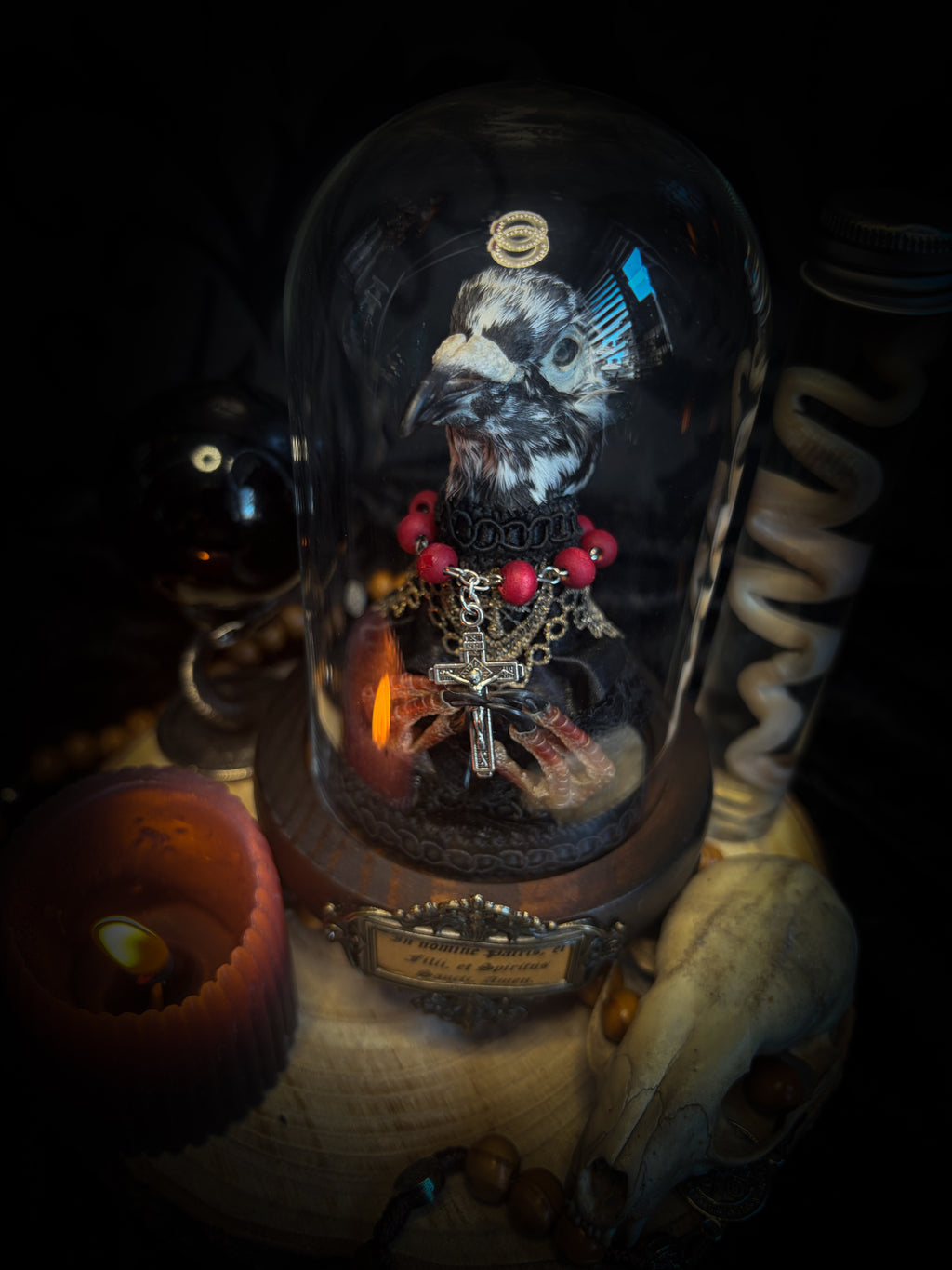 Handmade gothic glass dome with mummified pigeon head and feet, gold lace, rose rosary and ornate base — Ave Maria by Morbid Oddities