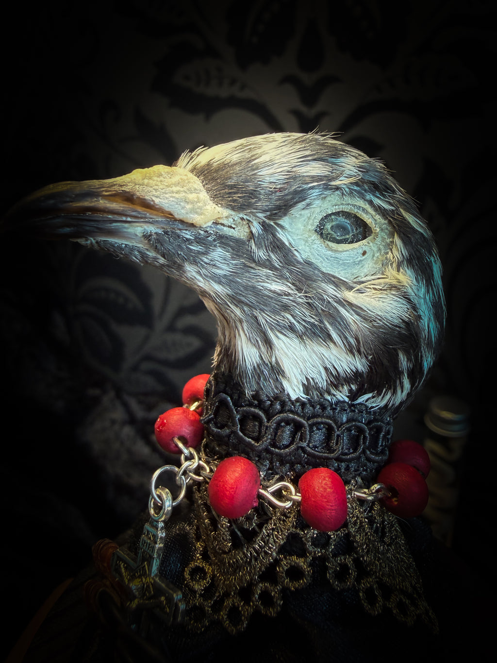 Handmade gothic glass dome with mummified pigeon head and feet, gold lace, rose rosary and ornate base — Ave Maria by Morbid Oddities