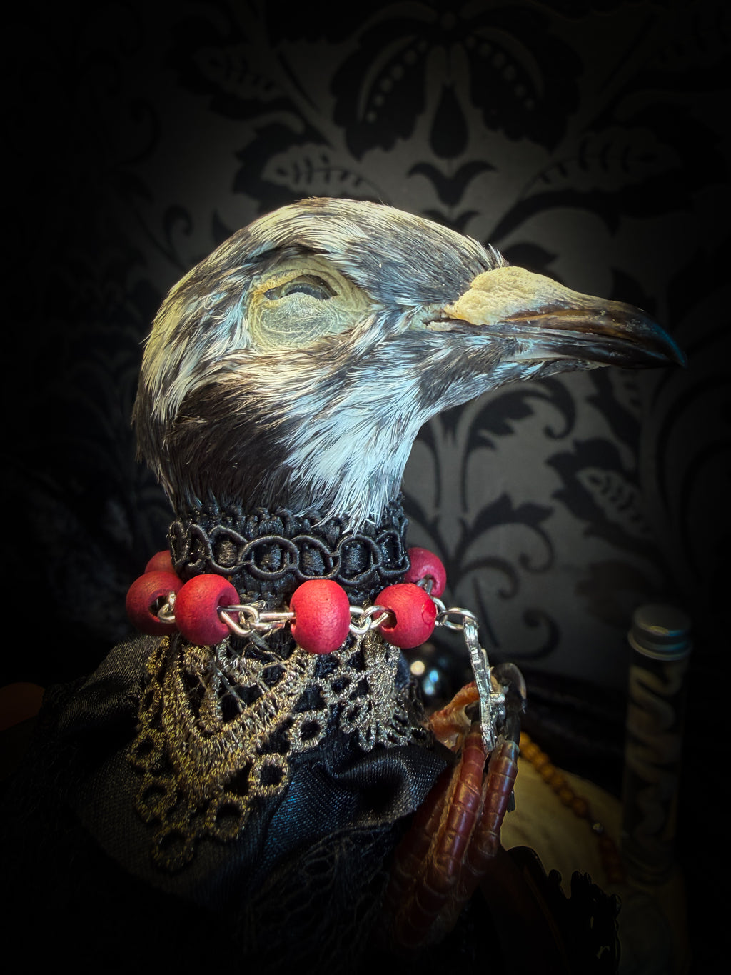 Handmade gothic glass dome with mummified pigeon head and feet, gold lace, rose rosary and ornate base — Ave Maria by Morbid Oddities