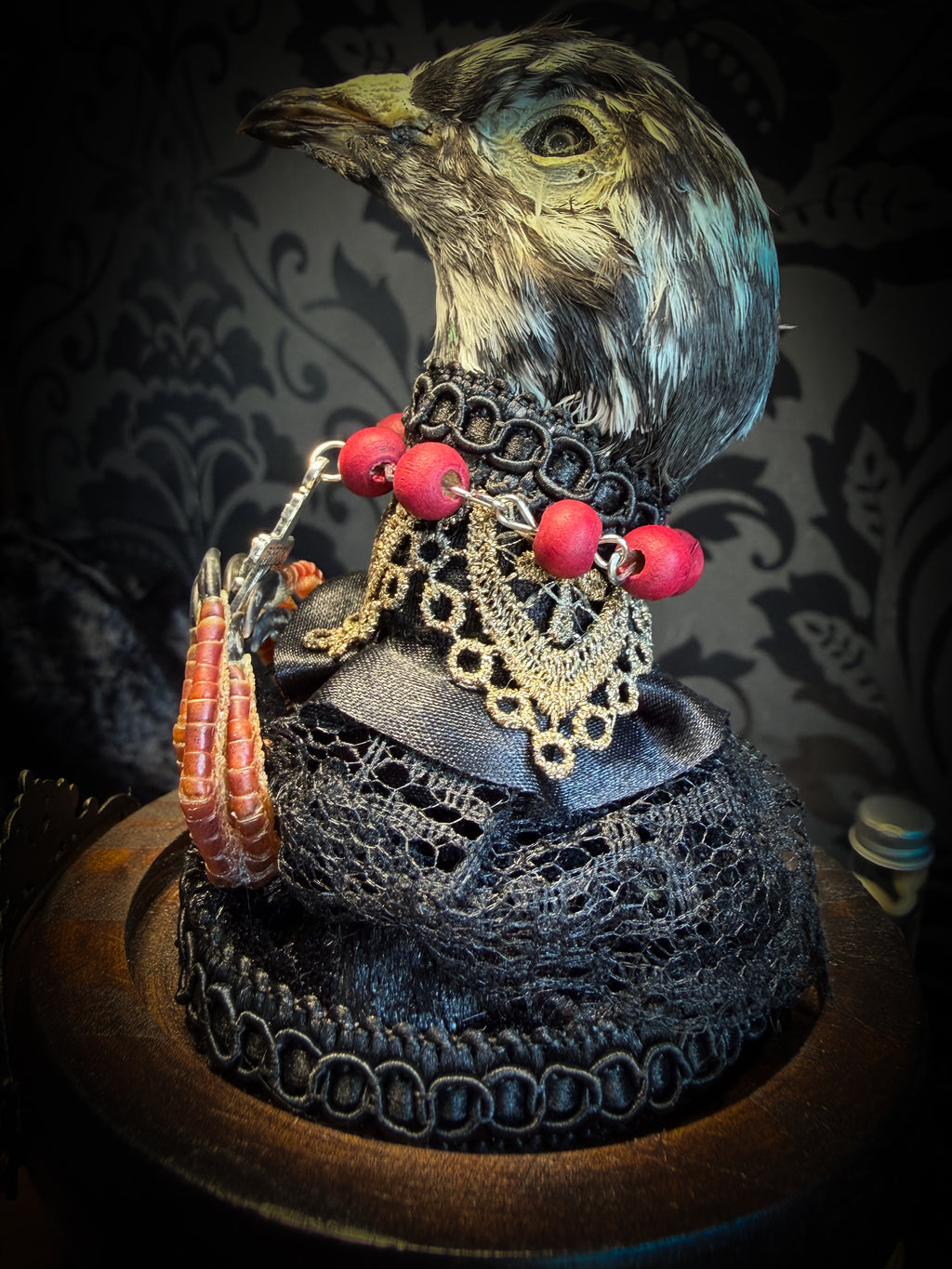 Handmade gothic glass dome with mummified pigeon head and feet, gold lace, rose rosary and ornate base — Ave Maria by Morbid Oddities