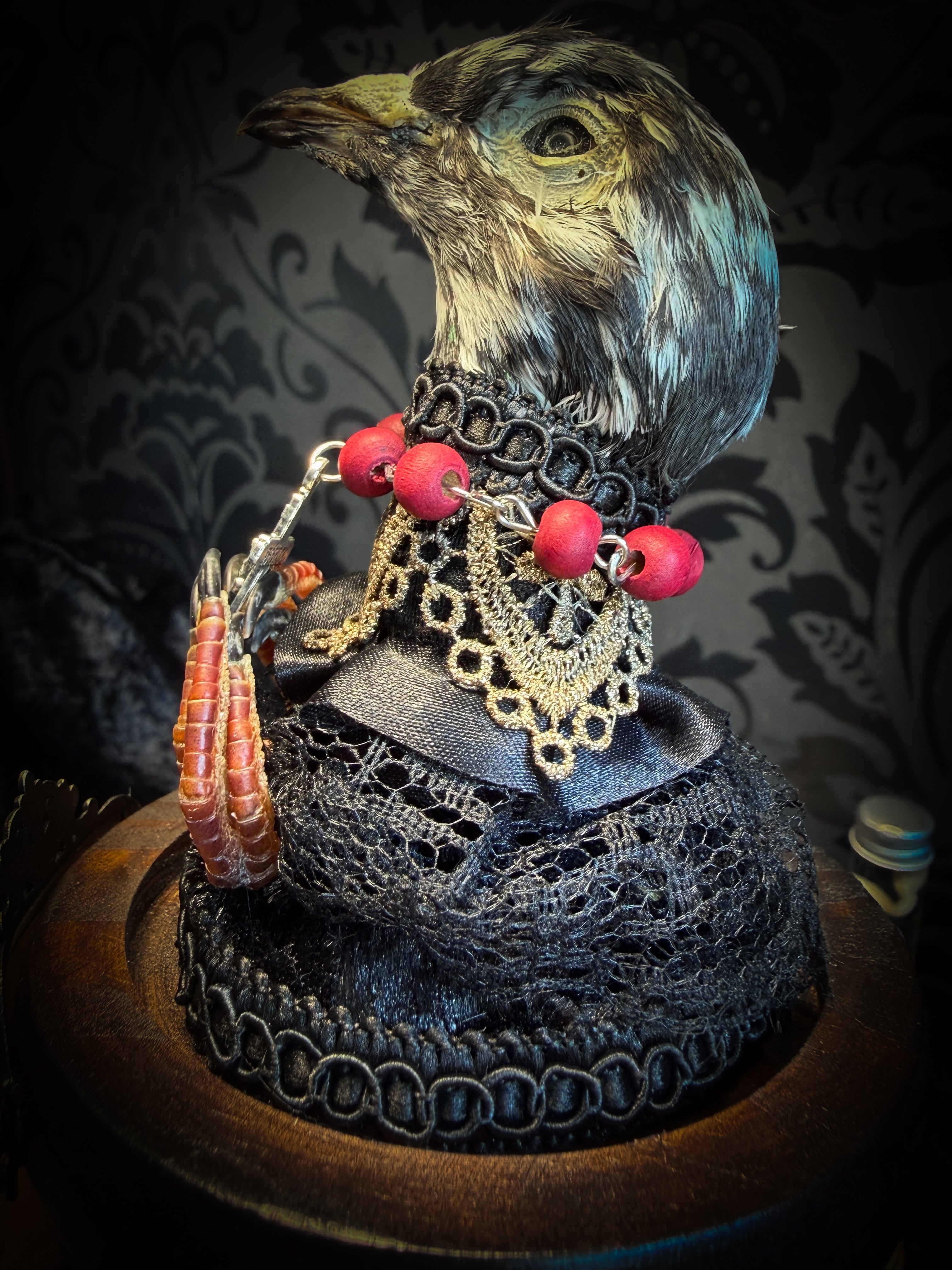 Handmade gothic glass dome with mummified pigeon head and feet, gold lace, rose rosary and ornate base — Ave Maria by Morbid Oddities