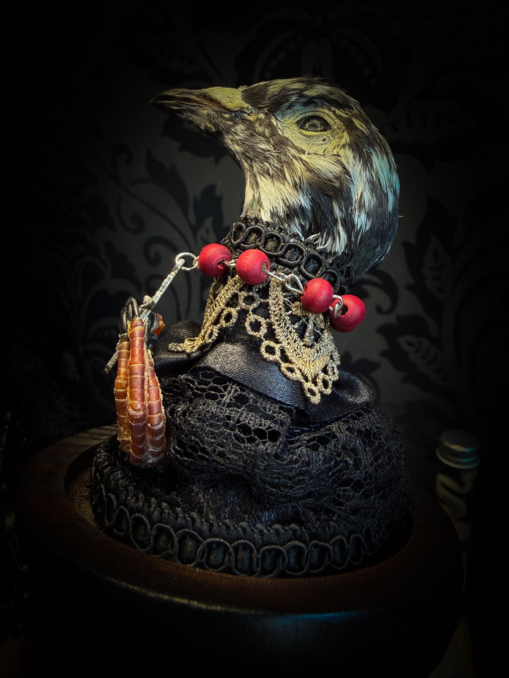 Handmade gothic glass dome with mummified pigeon head and feet, gold lace, rose rosary and ornate base — Ave Maria by Morbid Oddities