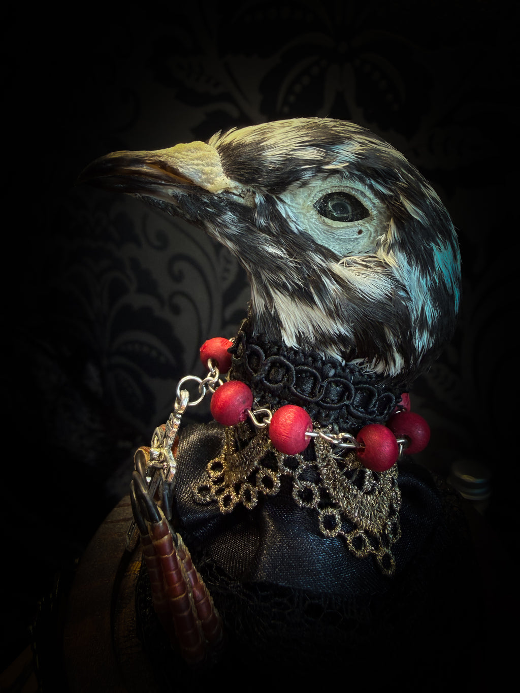 Handmade gothic glass dome with mummified pigeon head and feet, gold lace, rose rosary and ornate base — Ave Maria by Morbid Oddities