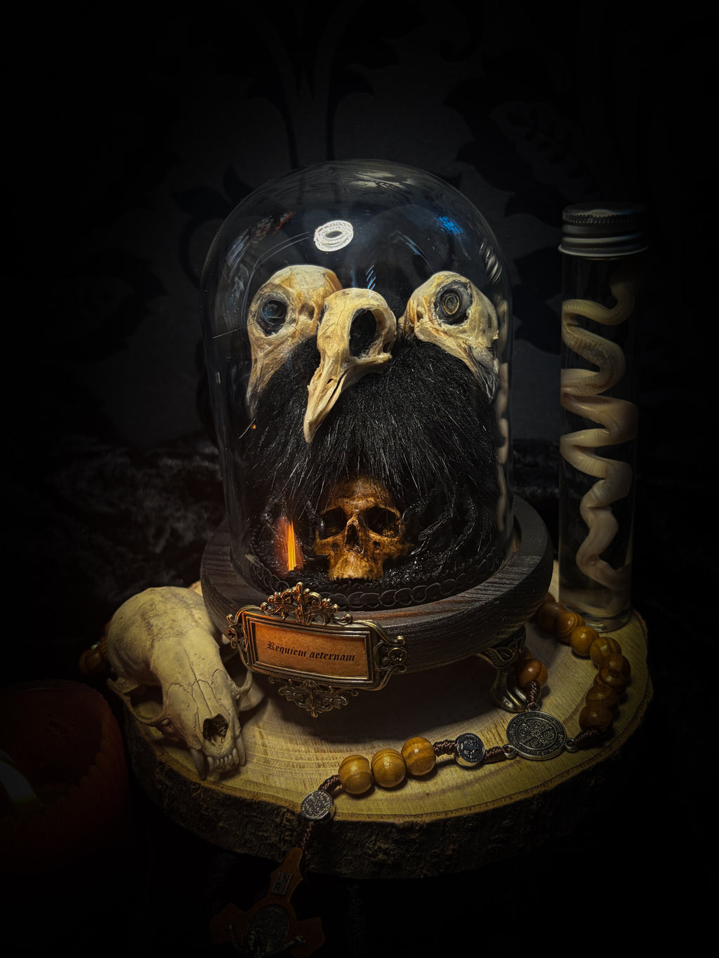 Morbid Oddities — handmade gothic glass dome with three mummified pigeon heads, black fur, hand-painted human skull and ornate nameplate inscribed Requiem Aeternam
