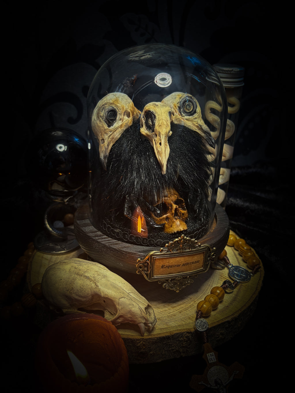 Morbid Oddities — handmade gothic glass dome with three mummified pigeon heads, black fur, hand-painted human skull and ornate nameplate inscribed Requiem Aeternam