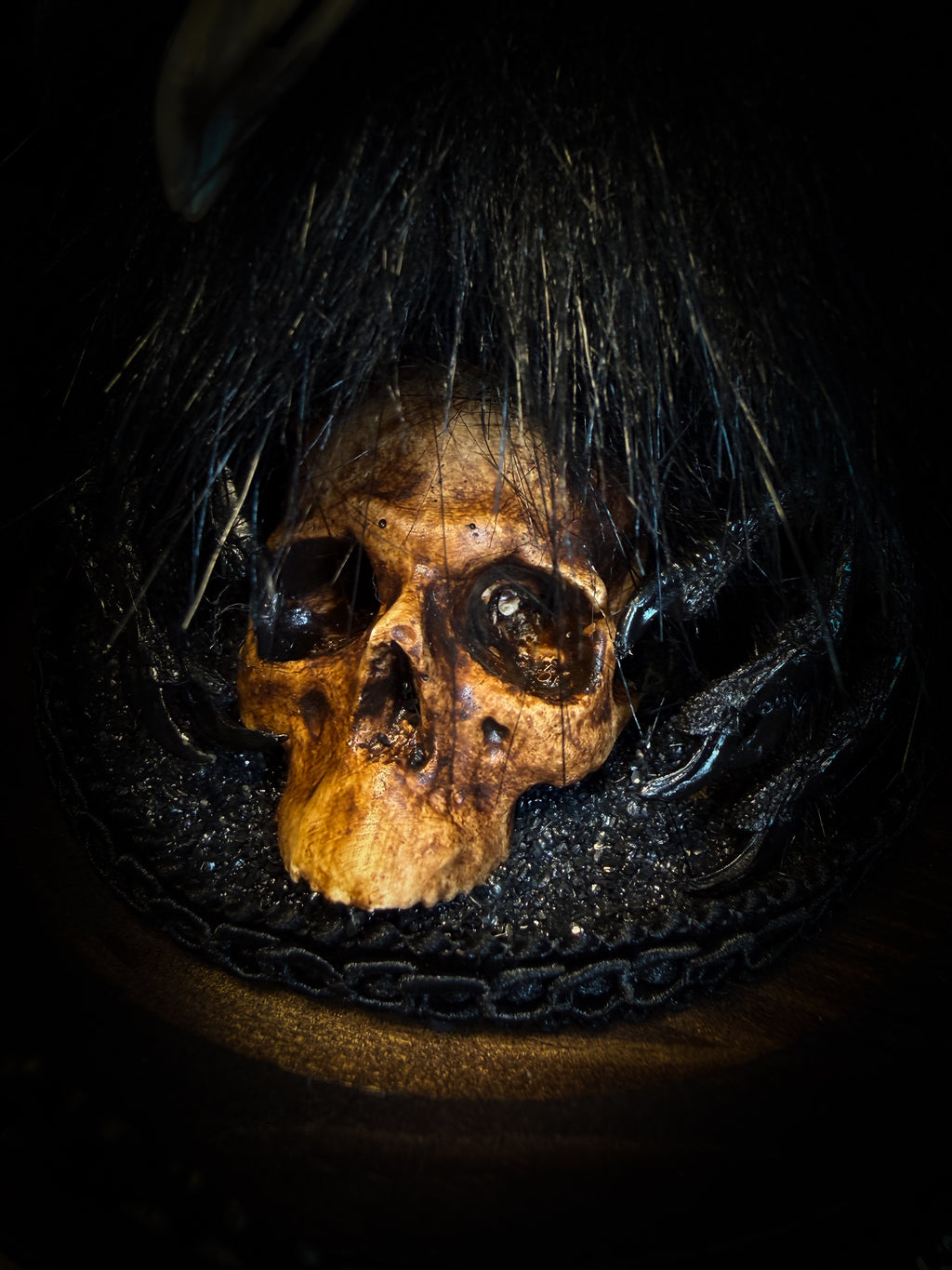 Morbid Oddities — handmade gothic glass dome with three mummified pigeon heads, black fur, hand-painted human skull and ornate nameplate inscribed Requiem Aeternam