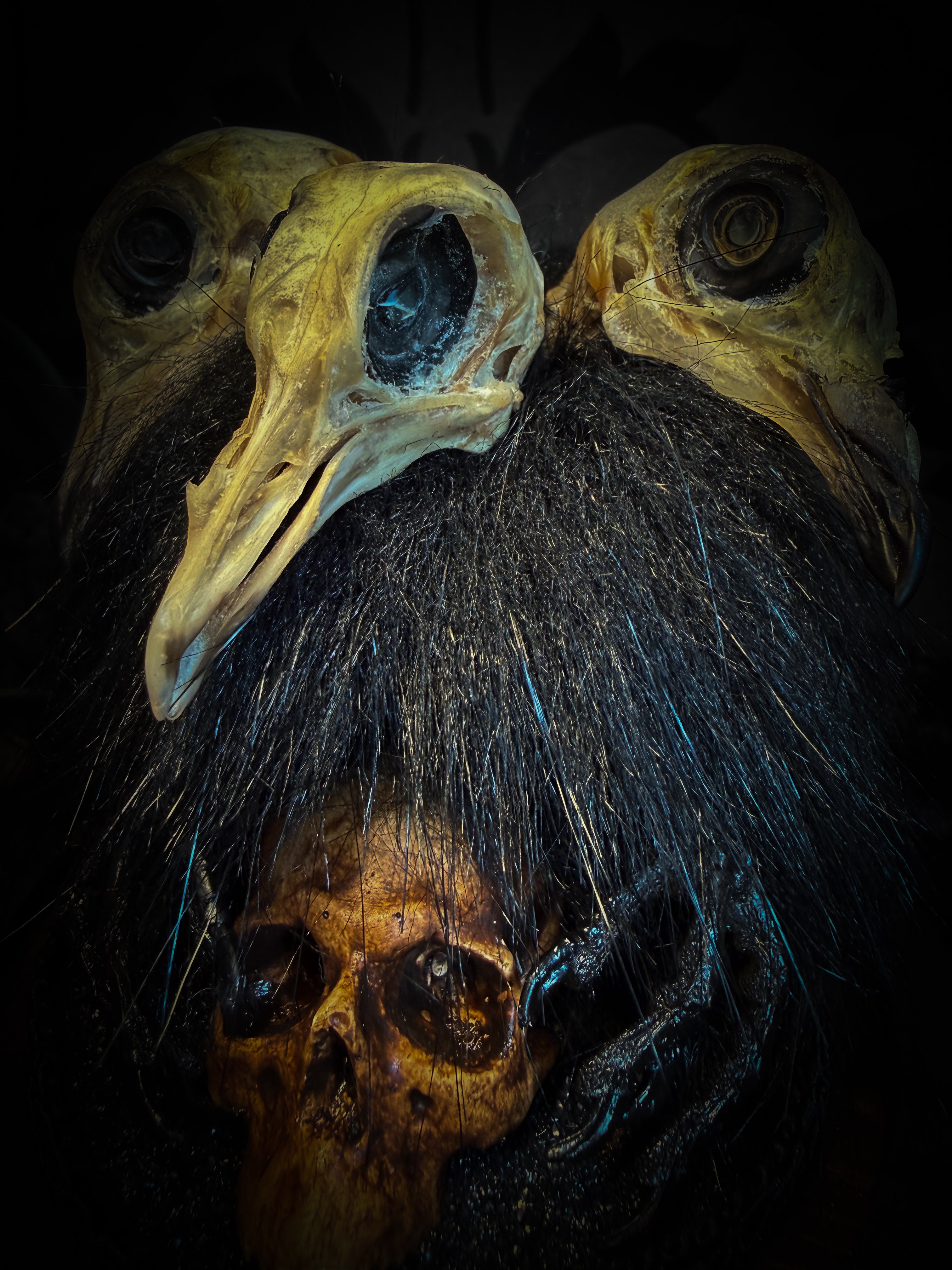 Morbid Oddities — handmade gothic glass dome with three mummified pigeon heads, black fur, hand-painted human skull and ornate nameplate inscribed Requiem Aeternam