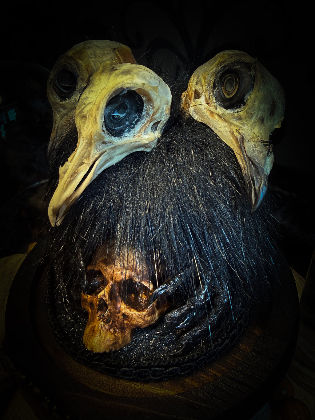 Morbid Oddities — handmade gothic glass dome with three mummified pigeon heads, black fur, hand-painted human skull and ornate nameplate inscribed Requiem Aeternam