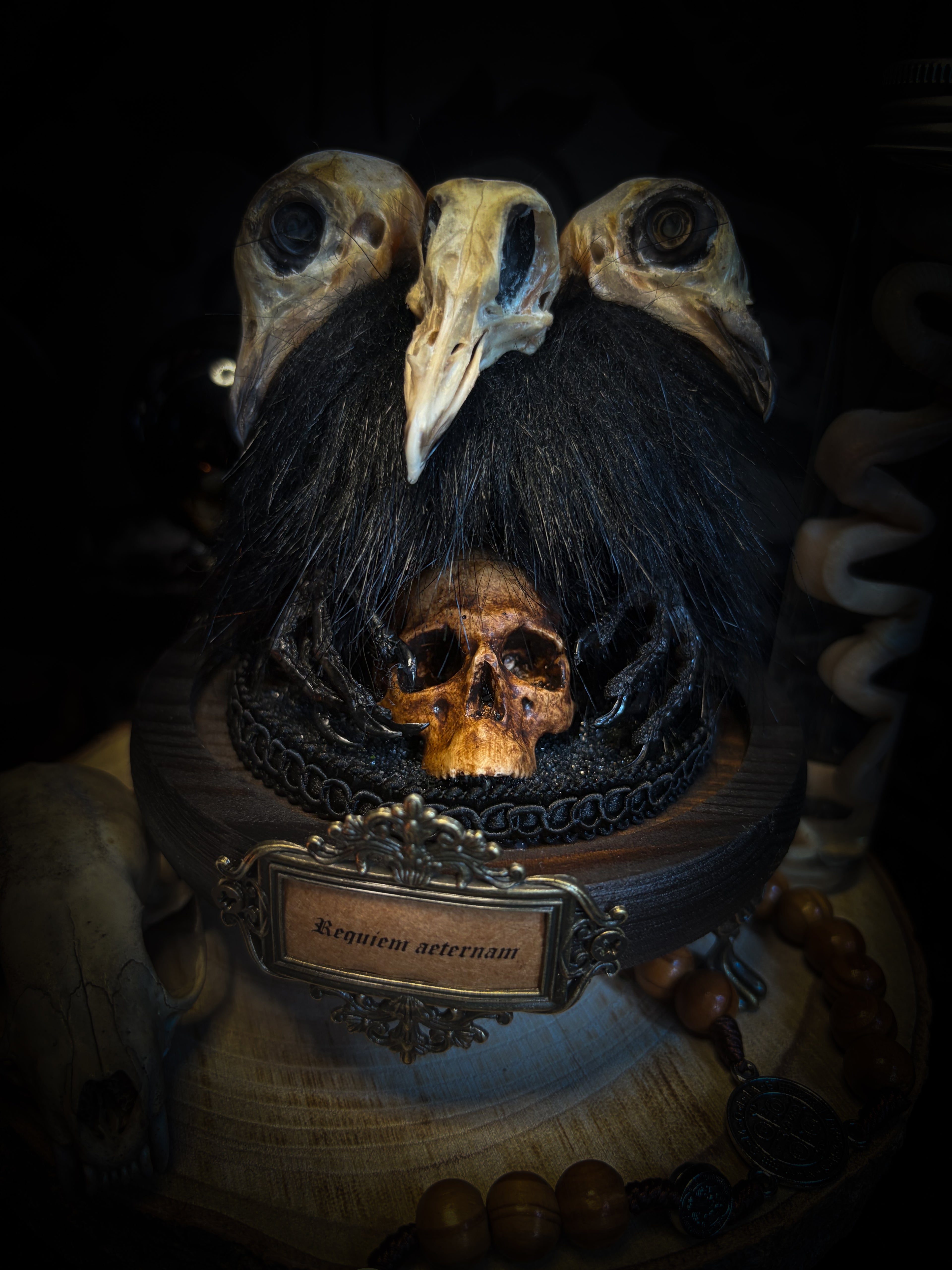 Morbid Oddities — handmade gothic glass dome with three mummified pigeon heads, black fur, hand-painted human skull and ornate nameplate inscribed Requiem Aeternam