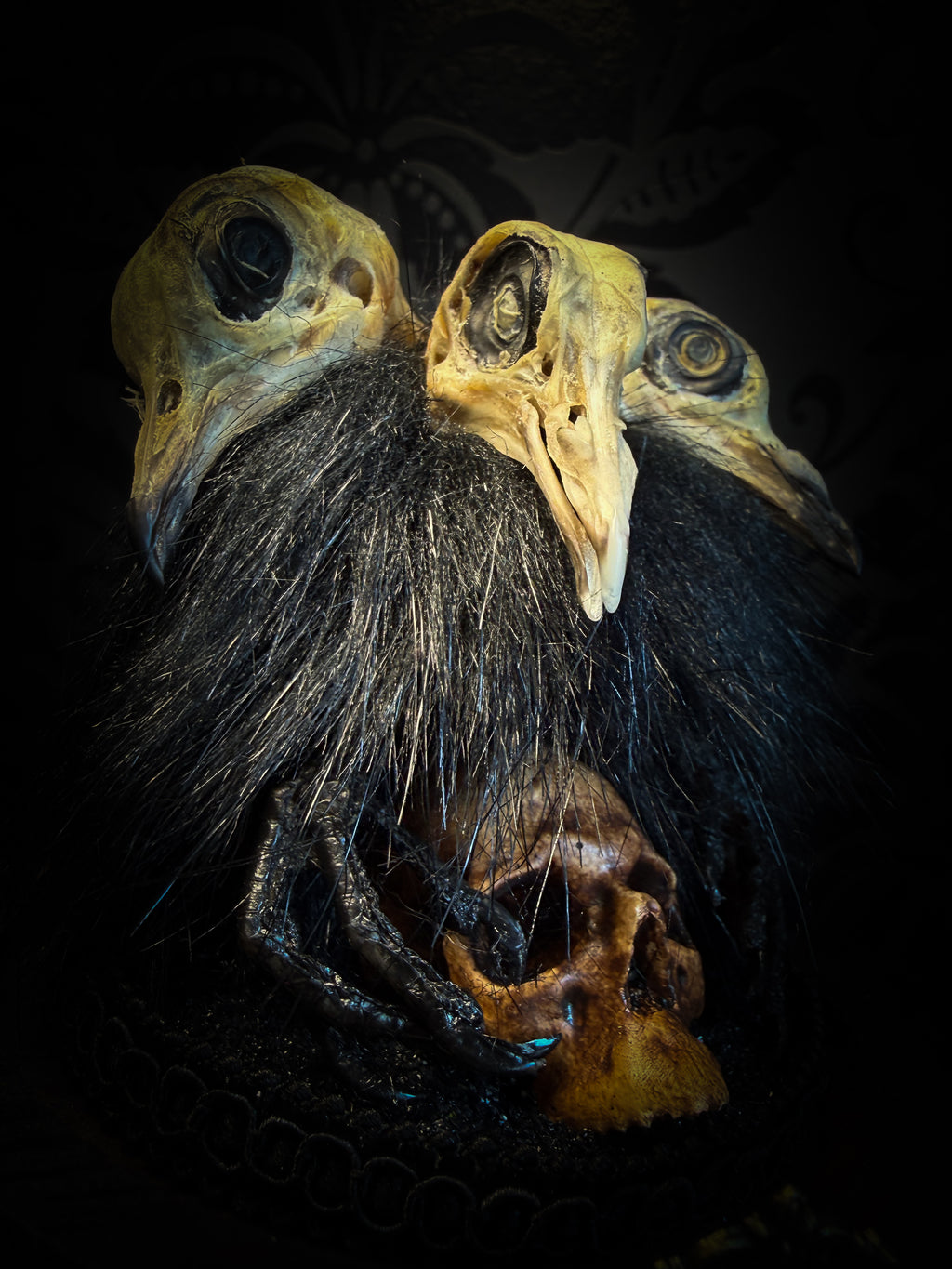 Morbid Oddities — handmade gothic glass dome with three mummified pigeon heads, black fur, hand-painted human skull and ornate nameplate inscribed Requiem Aeternam