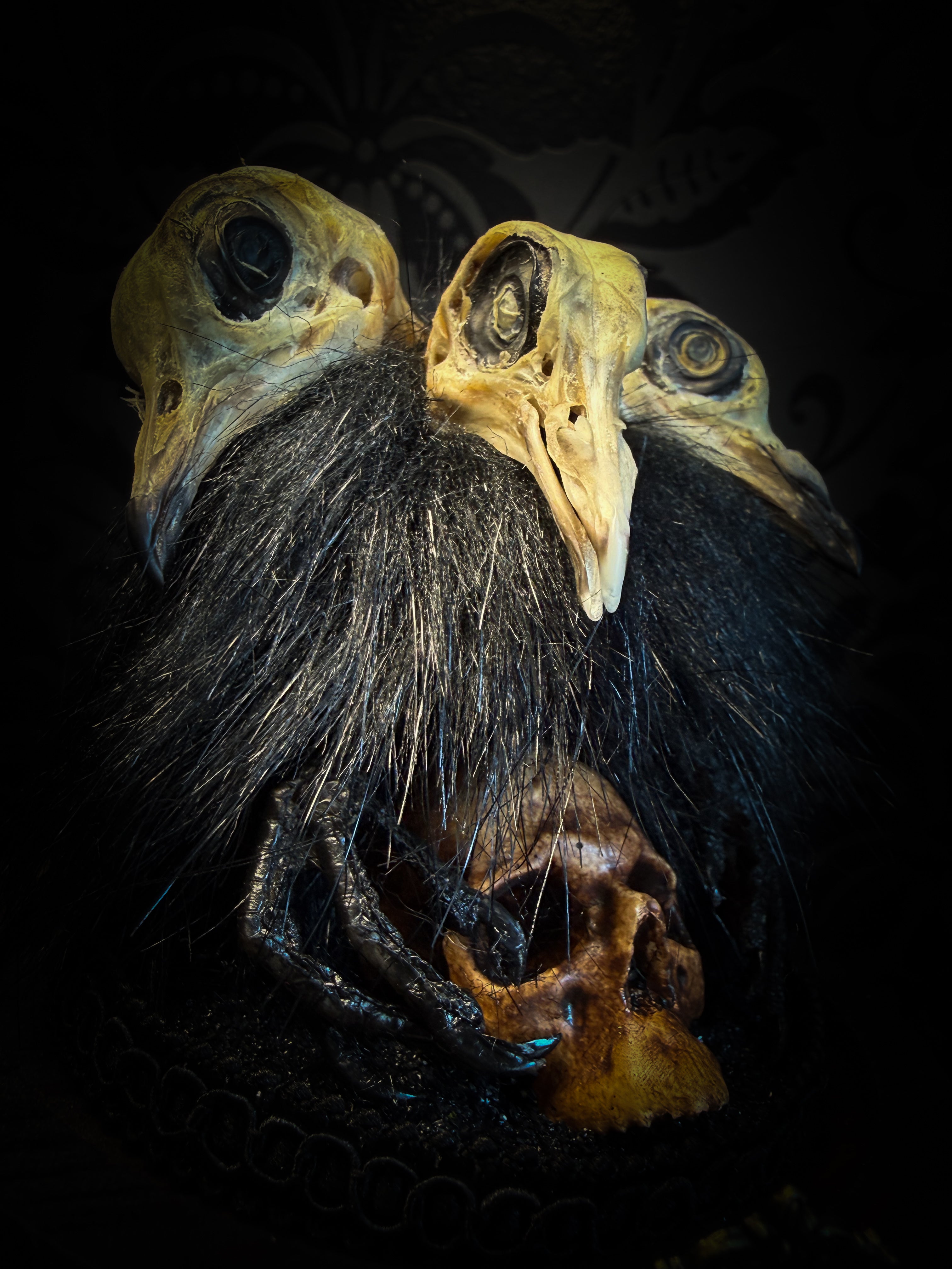 Morbid Oddities — handmade gothic glass dome with three mummified pigeon heads, black fur, hand-painted human skull and ornate nameplate inscribed Requiem Aeternam
