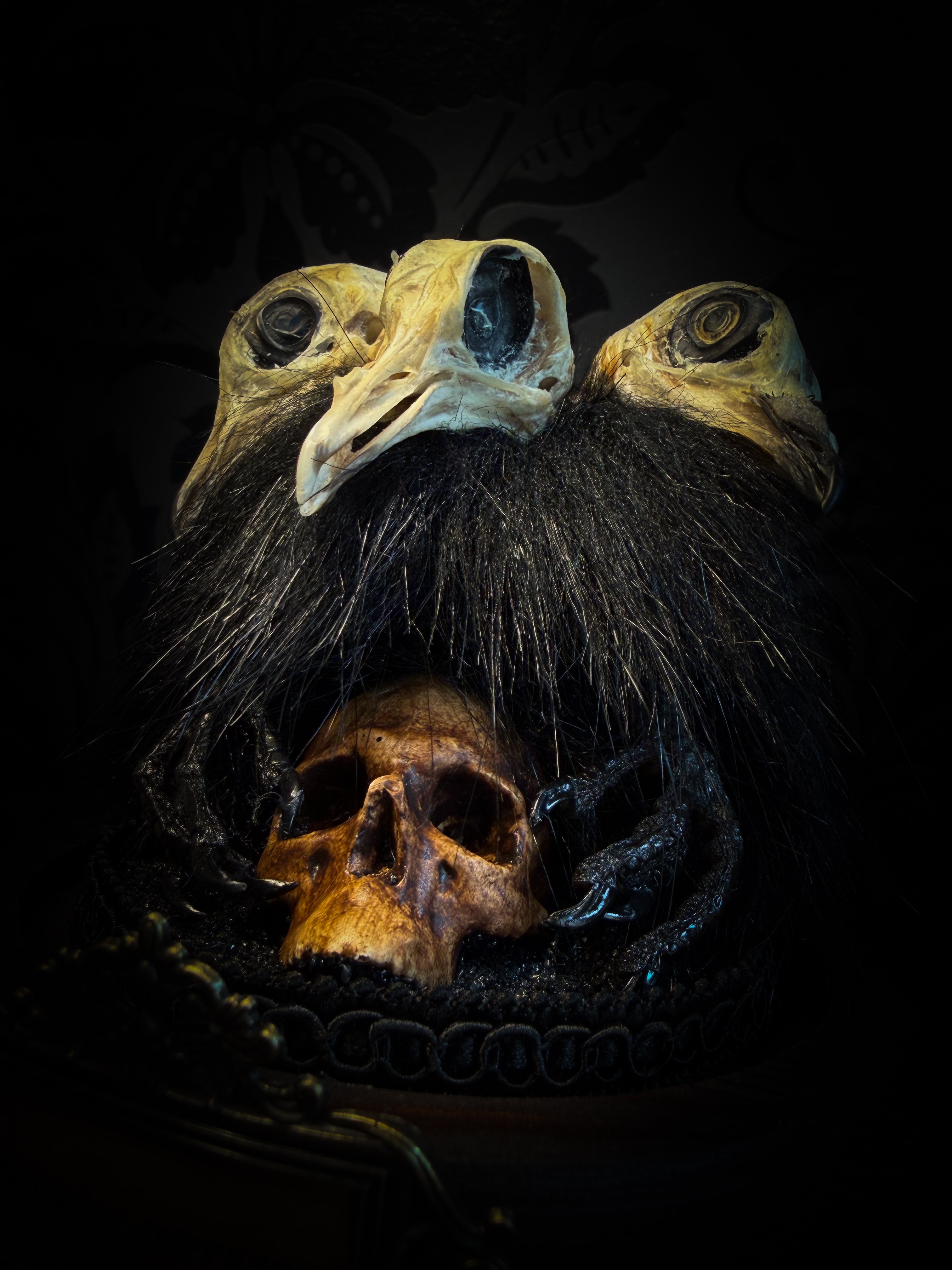 Morbid Oddities — handmade gothic glass dome with three mummified pigeon heads, black fur, hand-painted human skull and ornate nameplate inscribed Requiem Aeternam