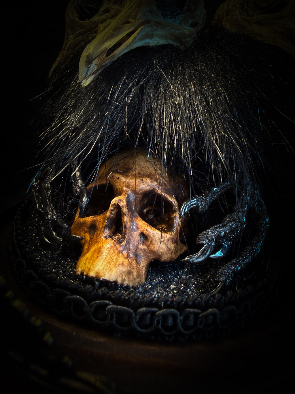 Morbid Oddities — handmade gothic glass dome with three mummified pigeon heads, black fur, hand-painted human skull and ornate nameplate inscribed Requiem Aeternam