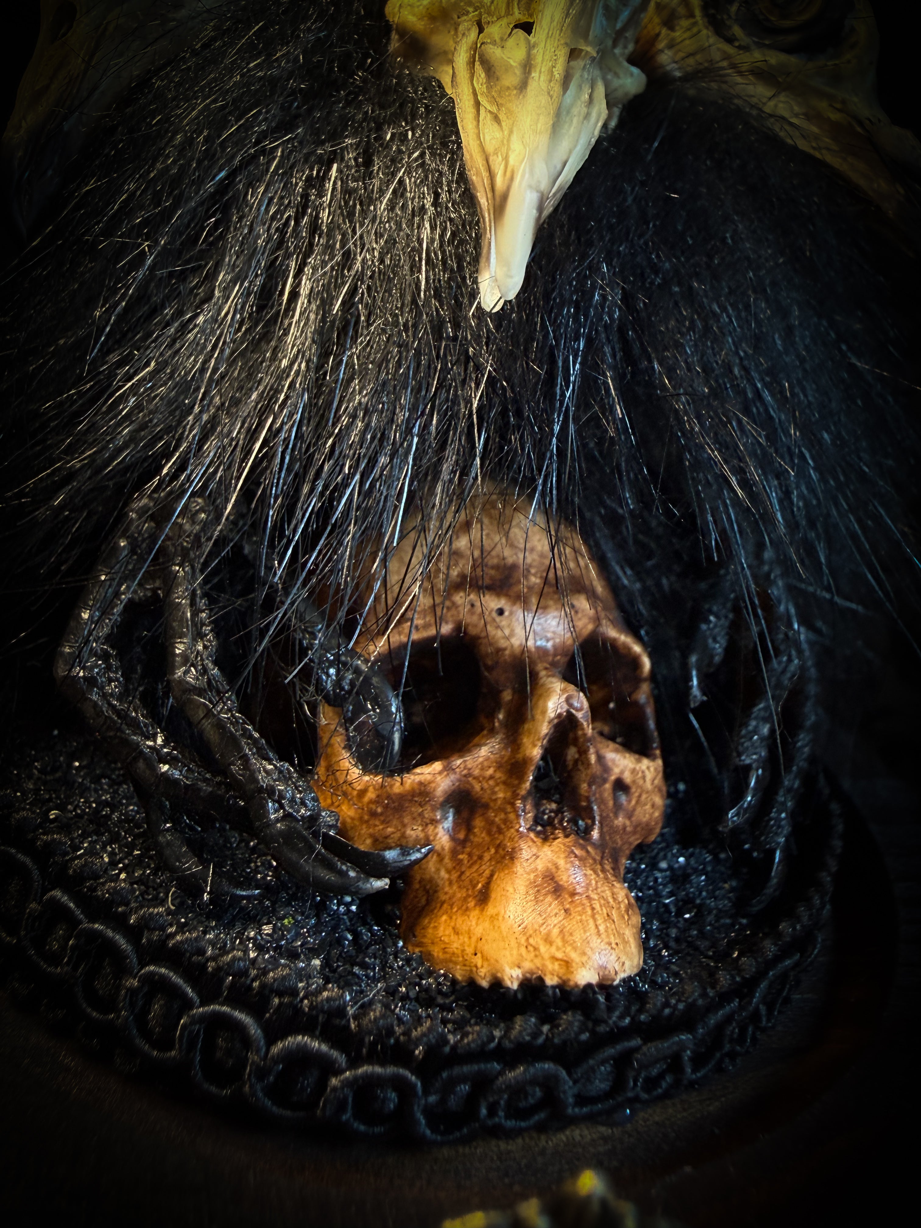 Morbid Oddities — handmade gothic glass dome with three mummified pigeon heads, black fur, hand-painted human skull and ornate nameplate inscribed Requiem Aeternam