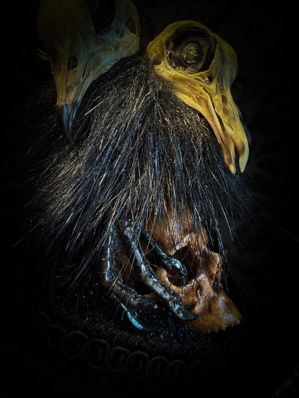 Morbid Oddities — handmade gothic glass dome with three mummified pigeon heads, black fur, hand-painted human skull and ornate nameplate inscribed Requiem Aeternam