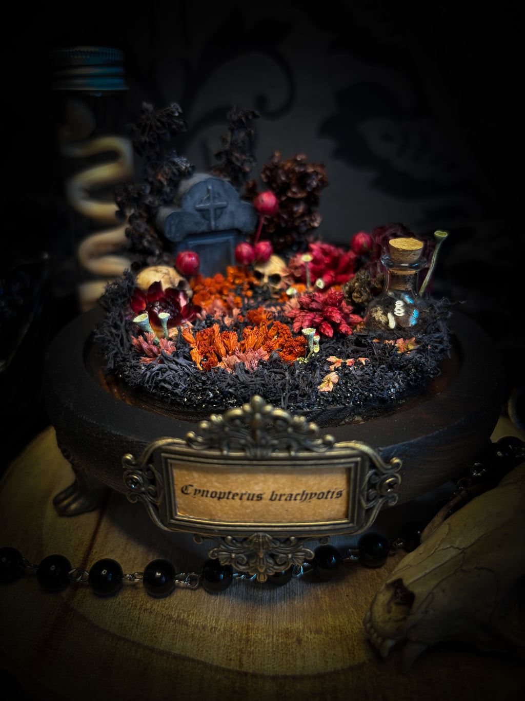Autumnal Cemetery | Bats — handmade bat skeleton glass dome with autumnal botanicals, gothic decor by Morbid Oddities