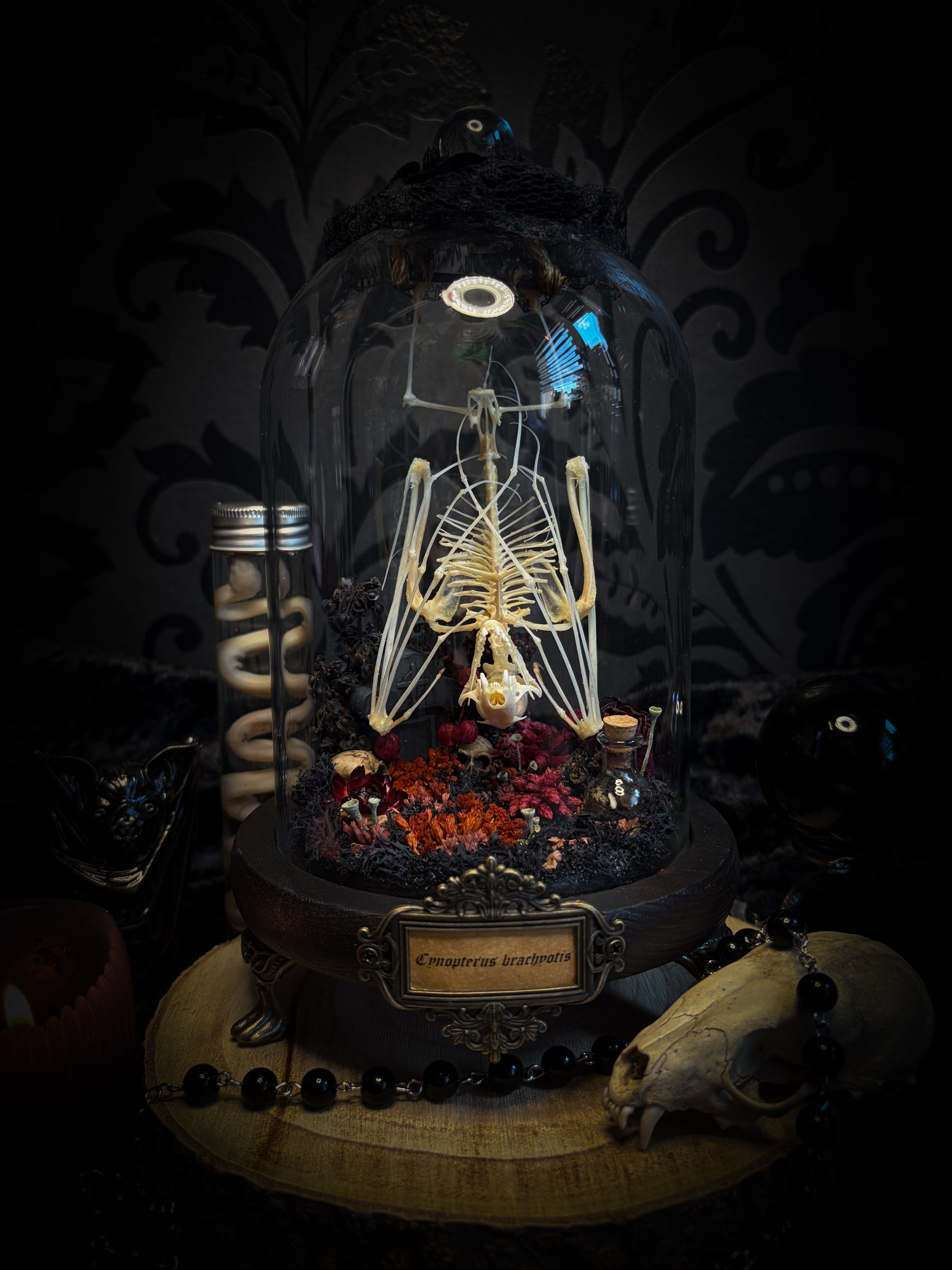 Autumnal Cemetery | Bats — handmade bat skeleton glass dome with autumnal botanicals, gothic decor by Morbid Oddities
