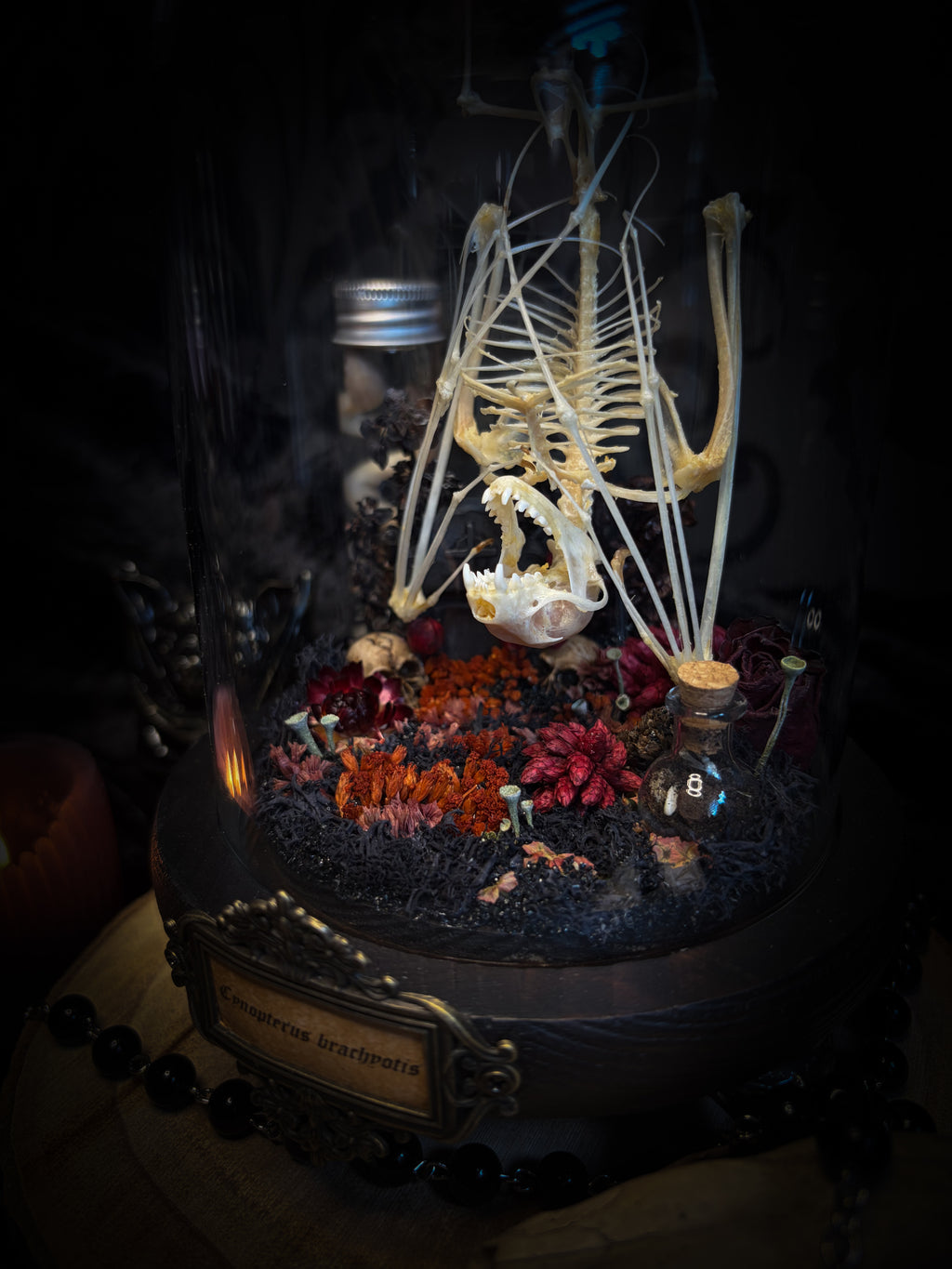 Autumnal Cemetery | Bats — handmade bat skeleton glass dome with autumnal botanicals, gothic decor by Morbid Oddities