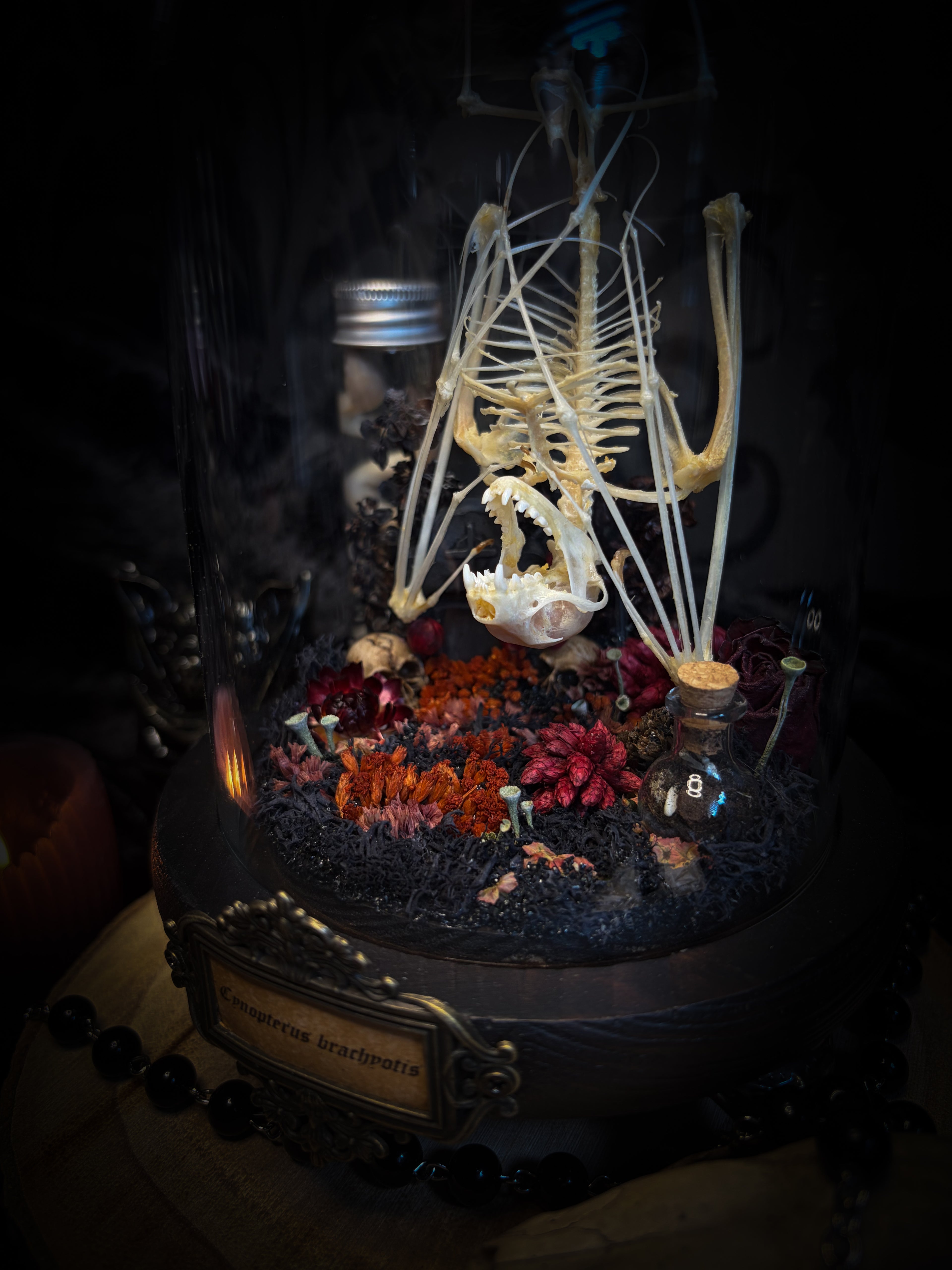Autumnal Cemetery | Bats — handmade bat skeleton glass dome with autumnal botanicals, gothic decor by Morbid Oddities