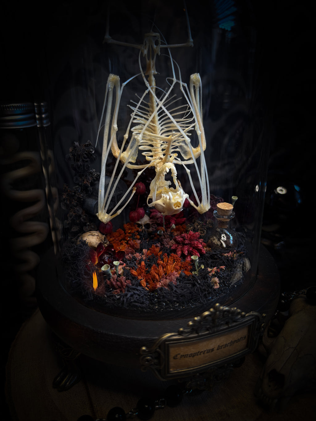 Autumnal Cemetery | Bats — handmade bat skeleton glass dome with autumnal botanicals, gothic decor by Morbid Oddities