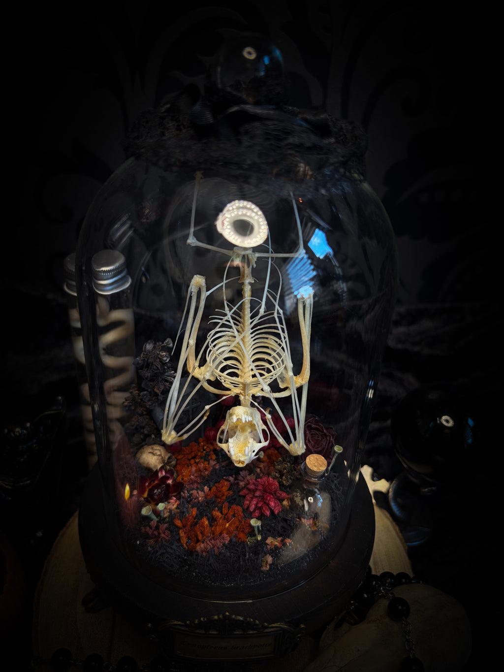 Autumnal Cemetery | Bats — handmade bat skeleton glass dome with autumnal botanicals, gothic decor by Morbid Oddities