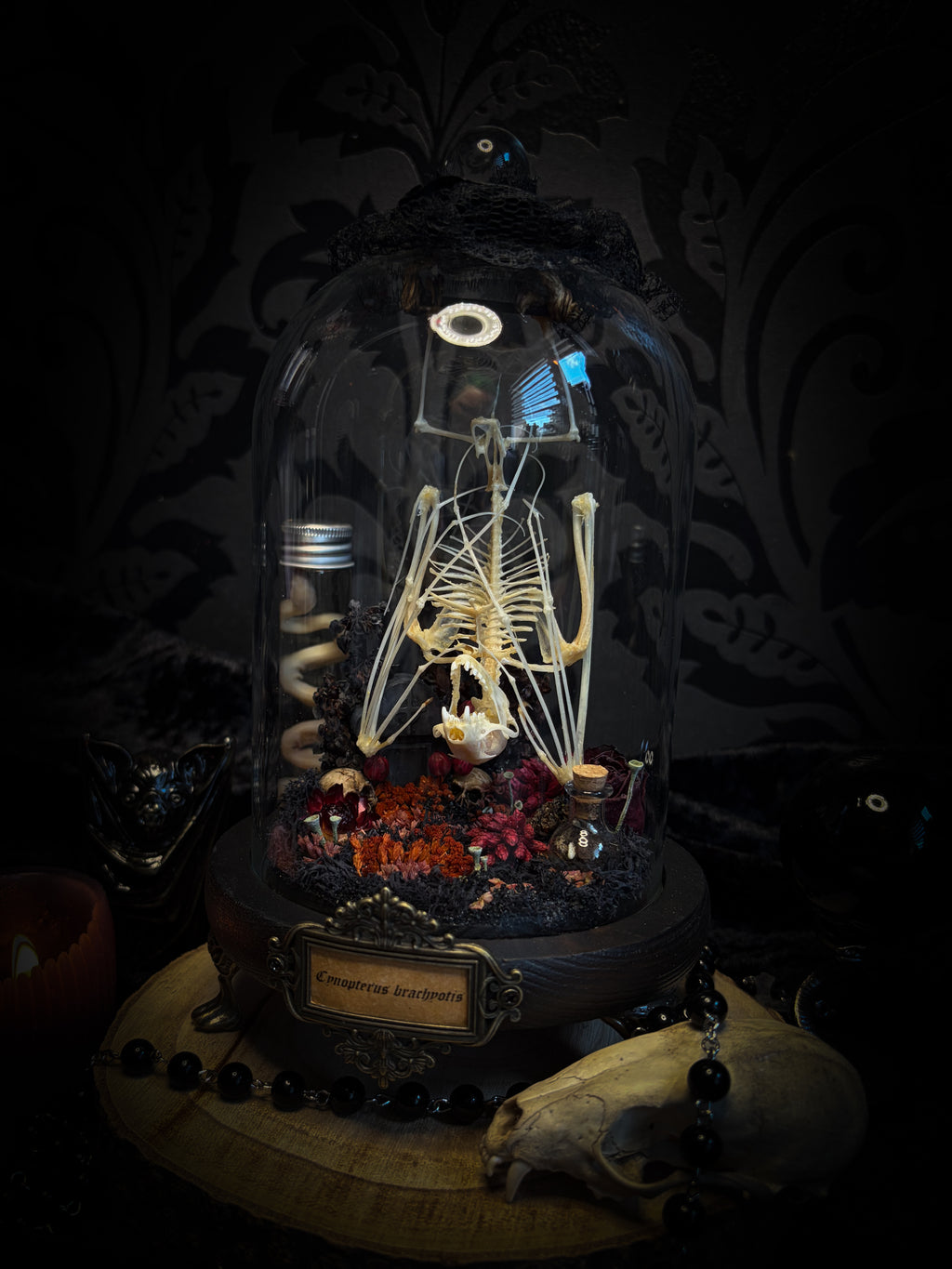 Autumnal Cemetery | Bats — handmade bat skeleton glass dome with autumnal botanicals, gothic decor by Morbid Oddities