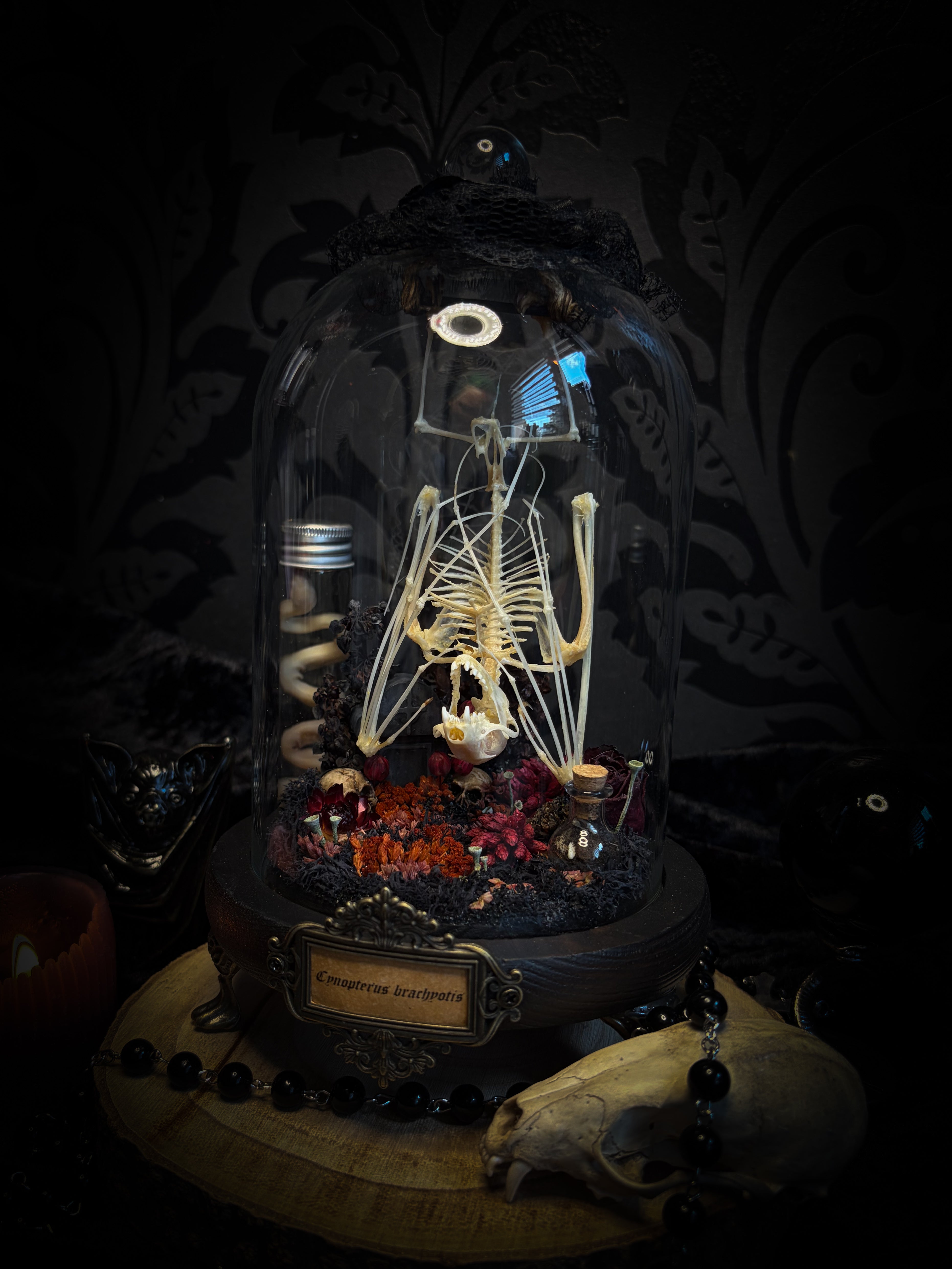 Autumnal Cemetery | Bats — handmade bat skeleton glass dome with autumnal botanicals, gothic decor by Morbid Oddities