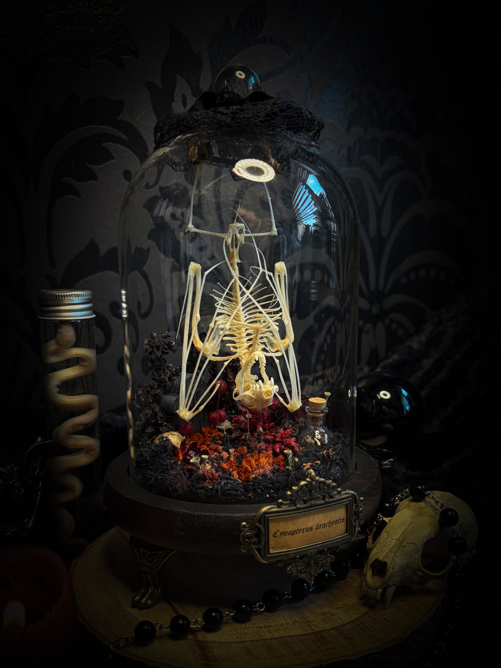 Autumnal Cemetery | Bats — handmade bat skeleton glass dome with autumnal botanicals, gothic decor by Morbid Oddities