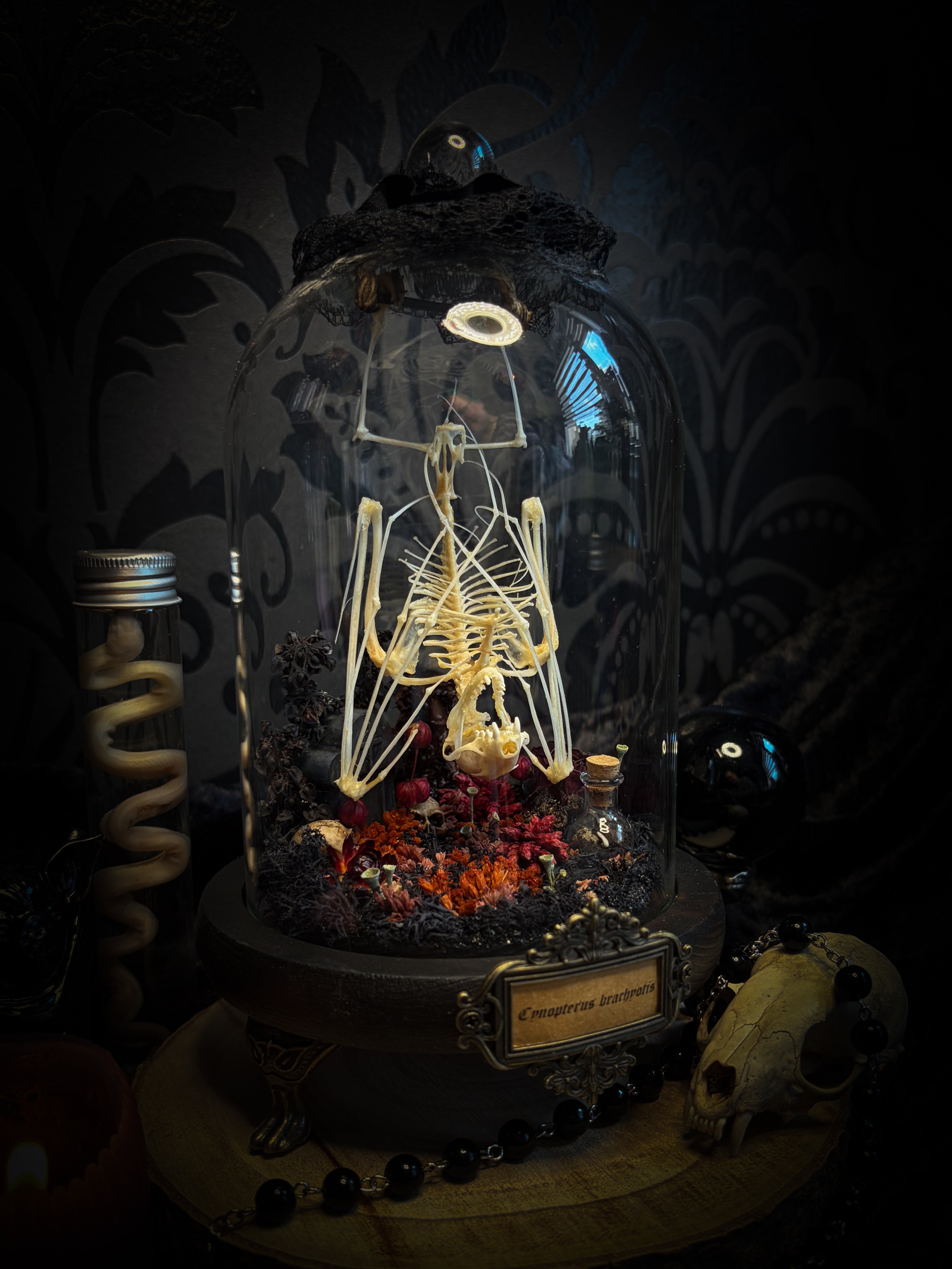 Autumnal Cemetery | Bats — handmade bat skeleton glass dome with autumnal botanicals, gothic decor by Morbid Oddities
