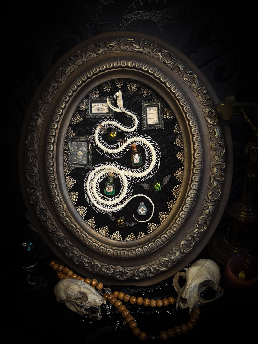 Gothic oval shadowbox with real snake skeleton, preserved Cetonia aurata beetles with spread wings, poison vials and hand-painted toxin frames in antique bubble glass frame — Venenum Apothecaria by Morbid Oddities
