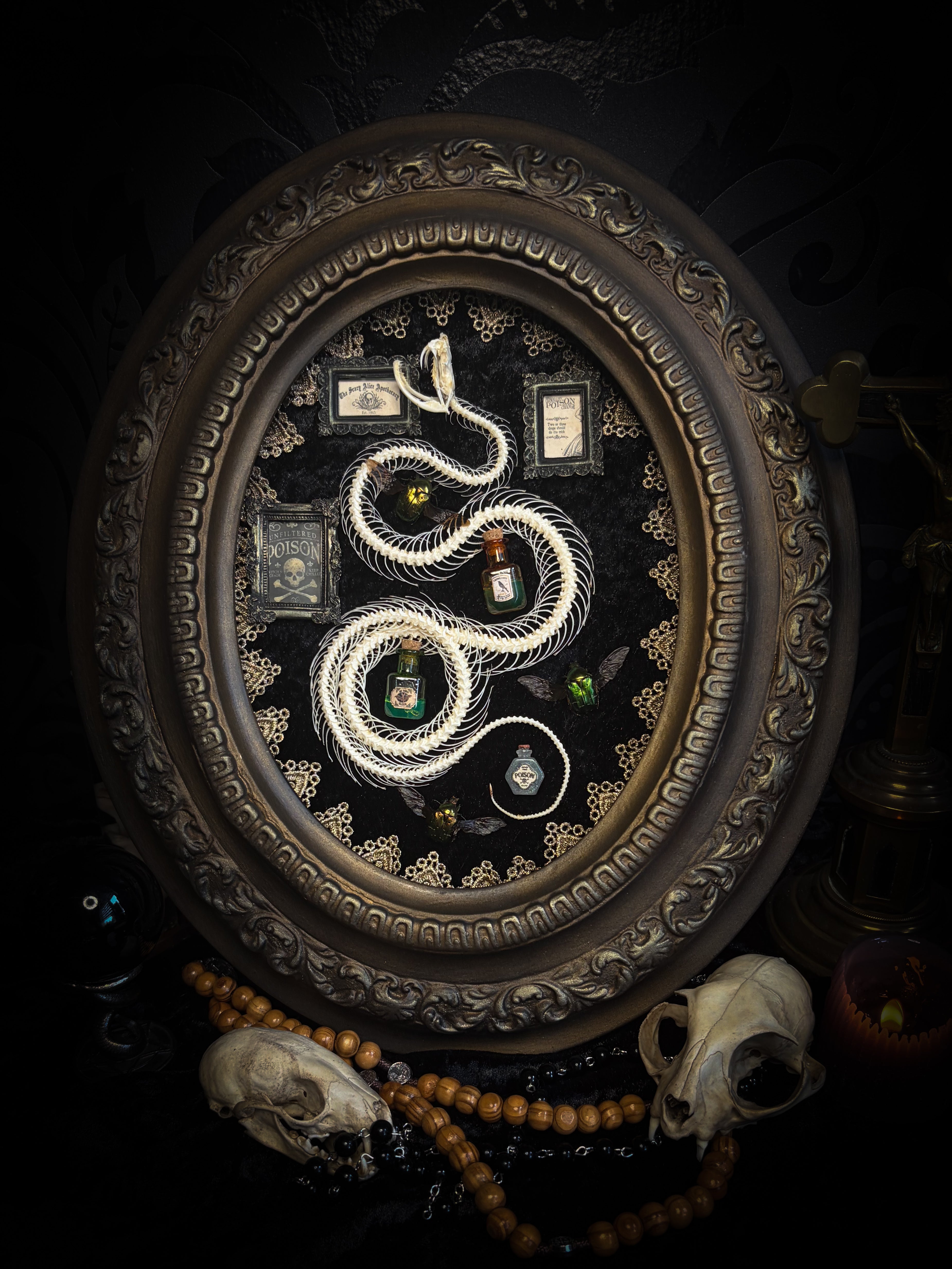 Gothic oval shadowbox with real snake skeleton, preserved Cetonia aurata beetles with spread wings, poison vials and hand-painted toxin frames in antique bubble glass frame — Venenum Apothecaria by Morbid Oddities