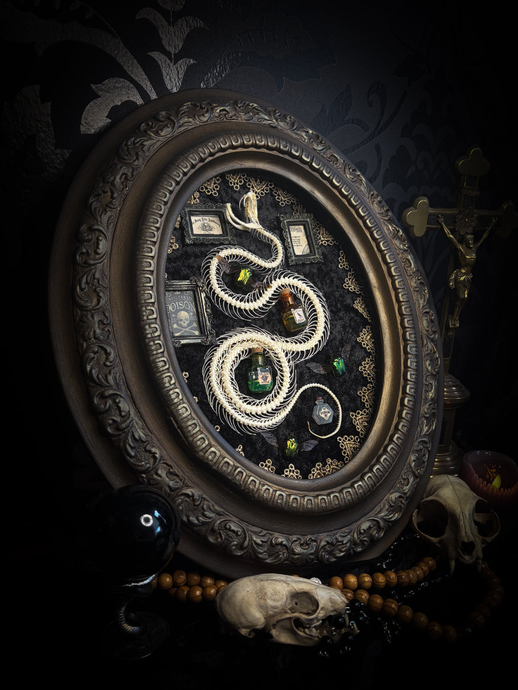 Gothic oval shadowbox with real snake skeleton, preserved Cetonia aurata beetles with spread wings, poison vials and hand-painted toxin frames in antique bubble glass frame — Venenum Apothecaria by Morbid Oddities