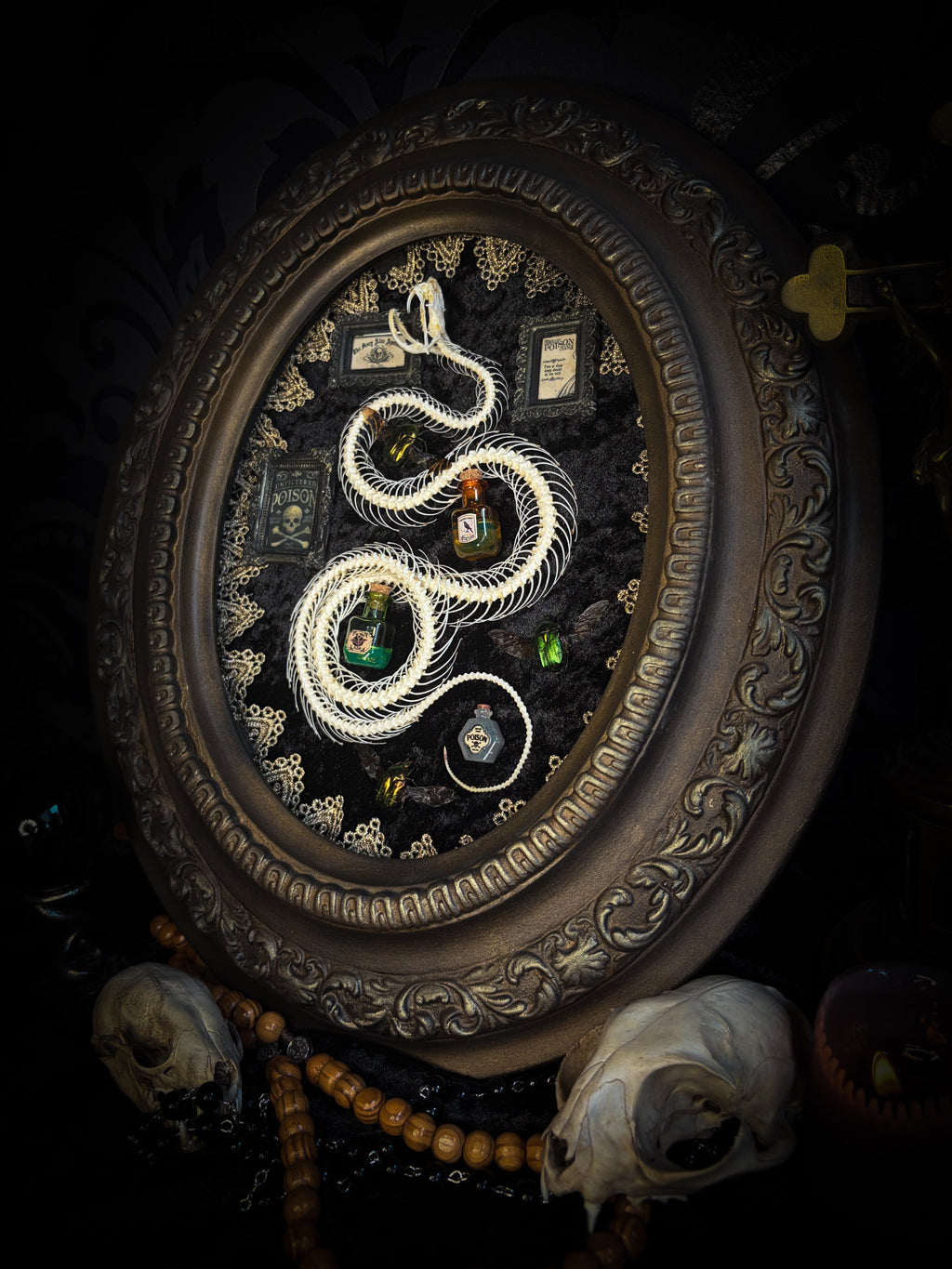 Gothic oval shadowbox with real snake skeleton, preserved Cetonia aurata beetles with spread wings, poison vials and hand-painted toxin frames in antique bubble glass frame — Venenum Apothecaria by Morbid Oddities