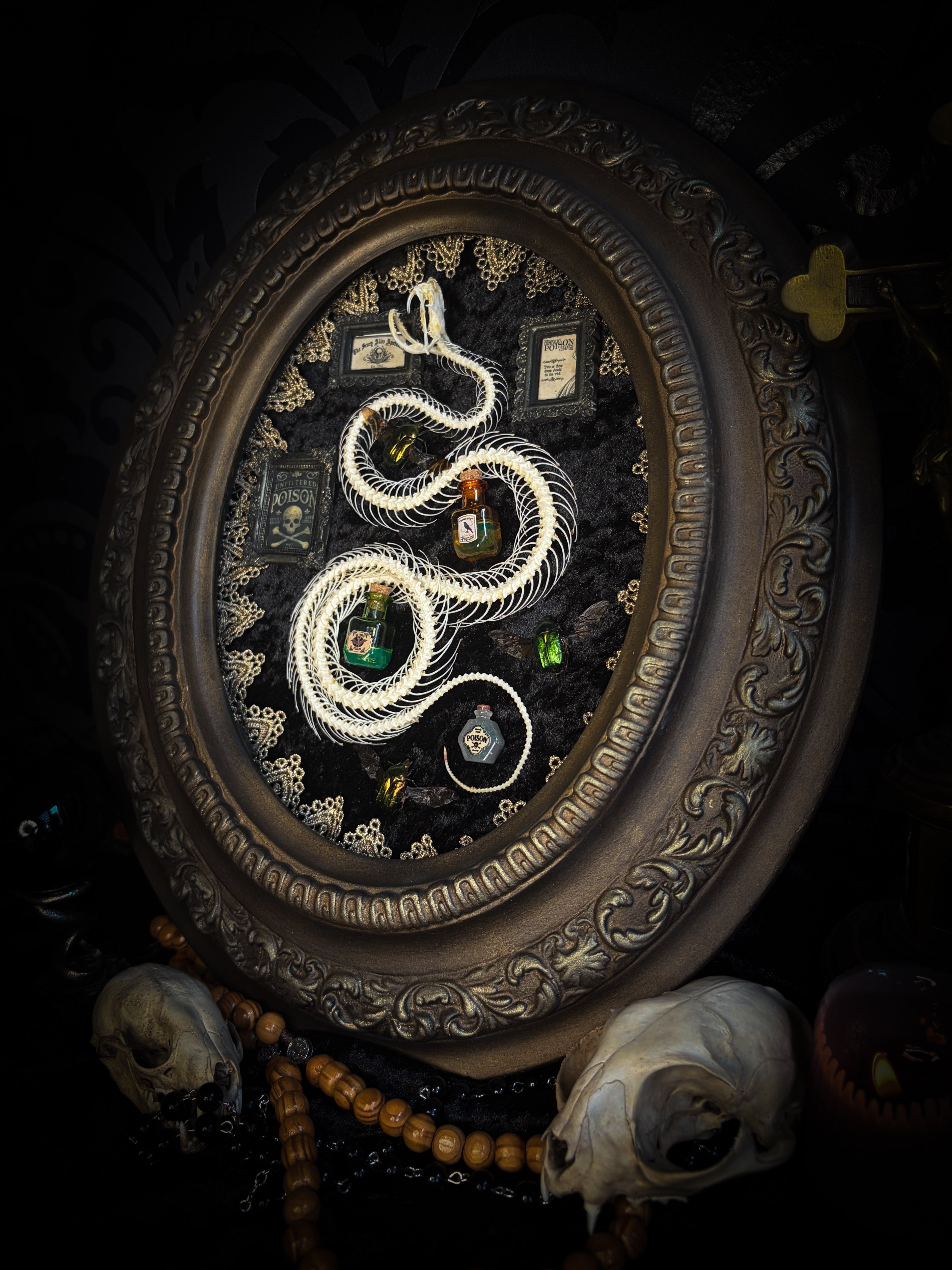 Gothic oval shadowbox with real snake skeleton, preserved Cetonia aurata beetles with spread wings, poison vials and hand-painted toxin frames in antique bubble glass frame — Venenum Apothecaria by Morbid Oddities