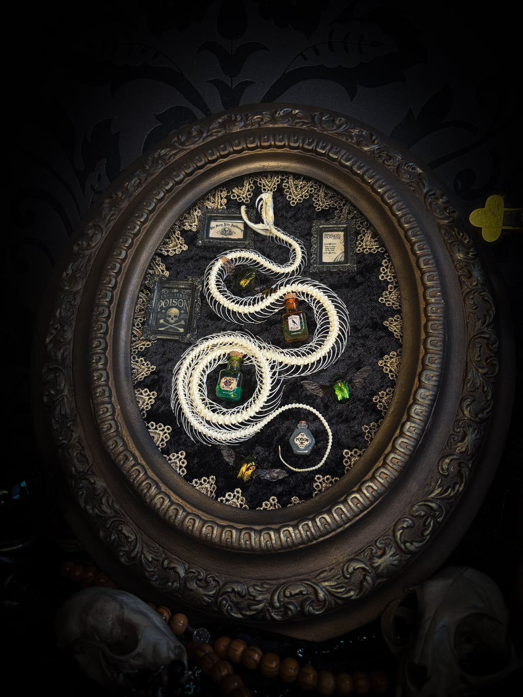 Gothic oval shadowbox with real snake skeleton, preserved Cetonia aurata beetles with spread wings, poison vials and hand-painted toxin frames in antique bubble glass frame — Venenum Apothecaria by Morbid Oddities