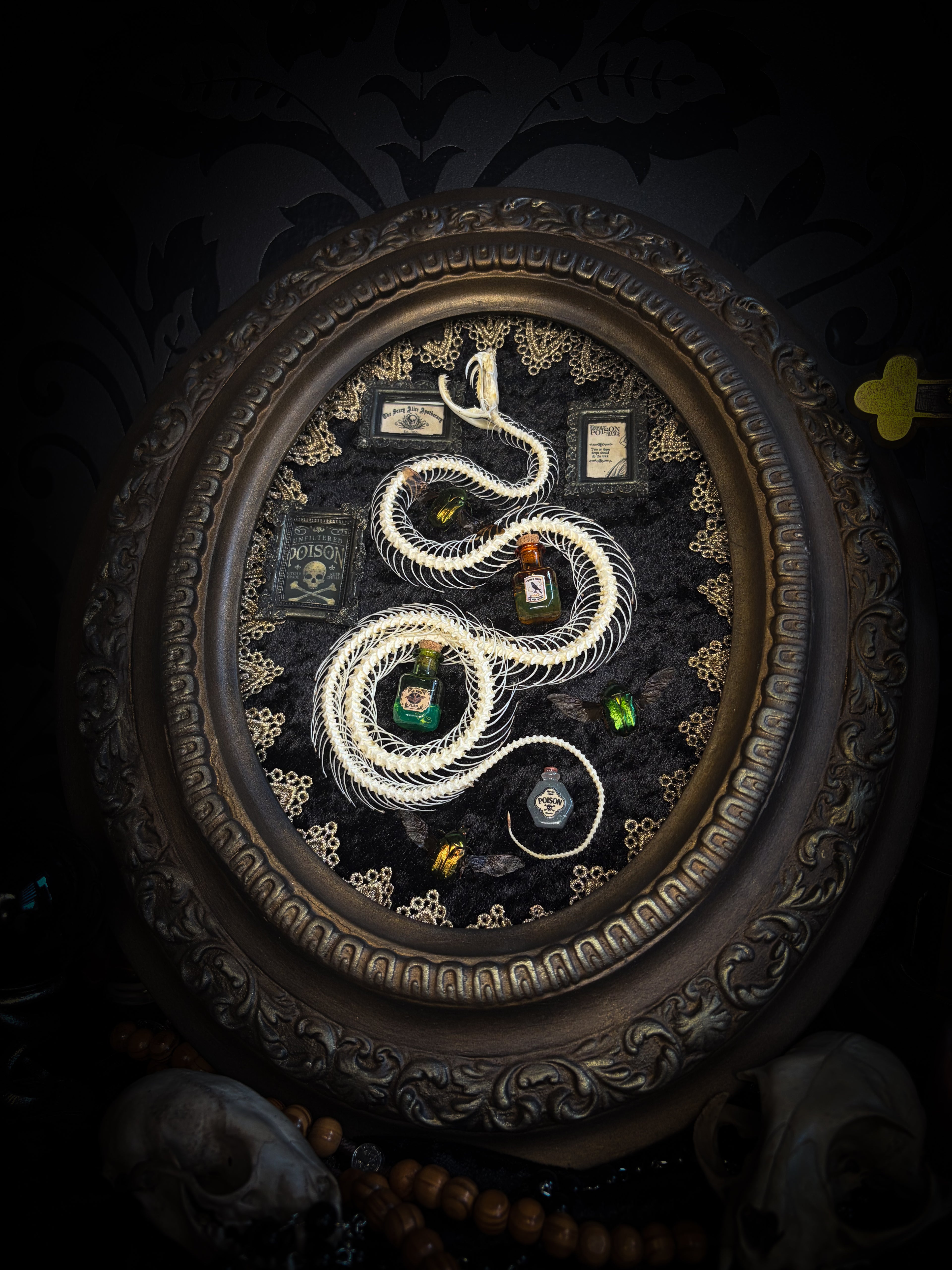 Gothic oval shadowbox with real snake skeleton, preserved Cetonia aurata beetles with spread wings, poison vials and hand-painted toxin frames in antique bubble glass frame — Venenum Apothecaria by Morbid Oddities