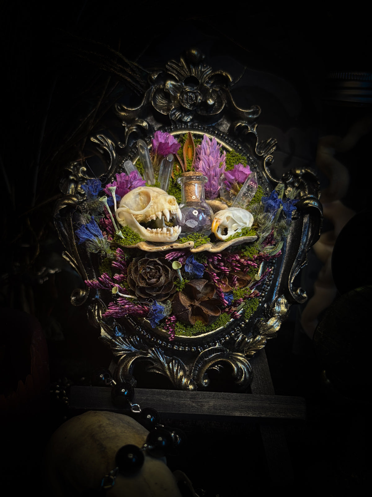Handmade gothic shadowbox with bat skull, mouse skull and amethyst crystal vial in ornate black and gold frame | Morbid Oddities