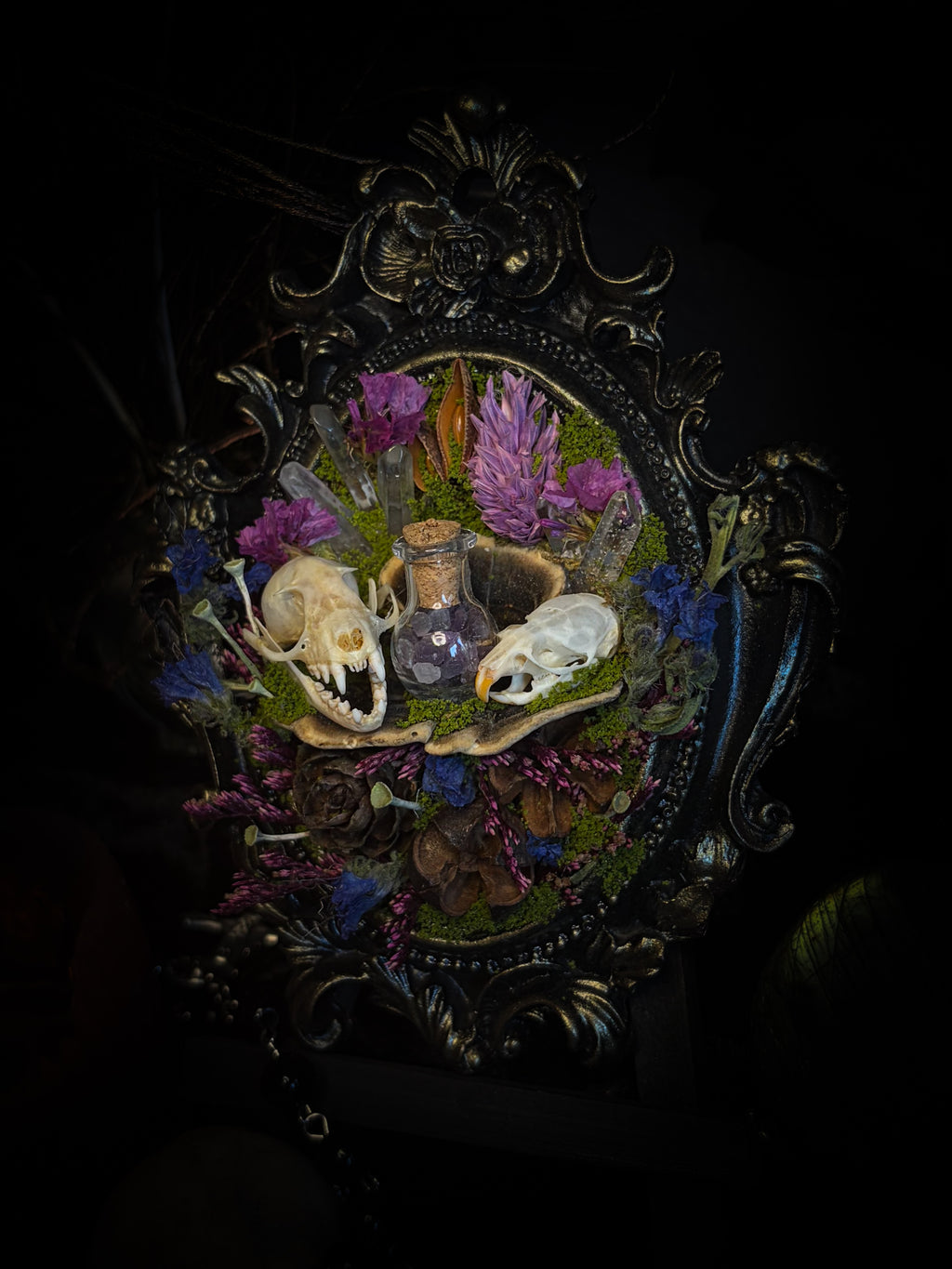 Handmade gothic shadowbox with bat skull, mouse skull and amethyst crystal vial in ornate black and gold frame | Morbid Oddities