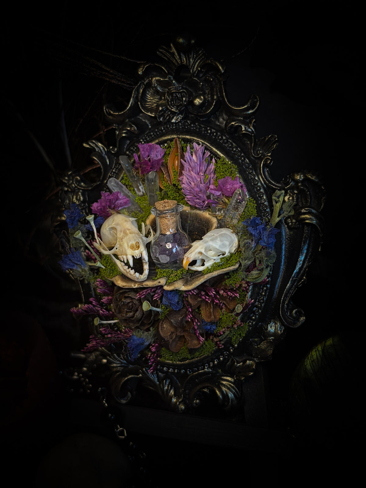 Handmade gothic shadowbox with bat skull, mouse skull and amethyst crystal vial in ornate black and gold frame | Morbid Oddities